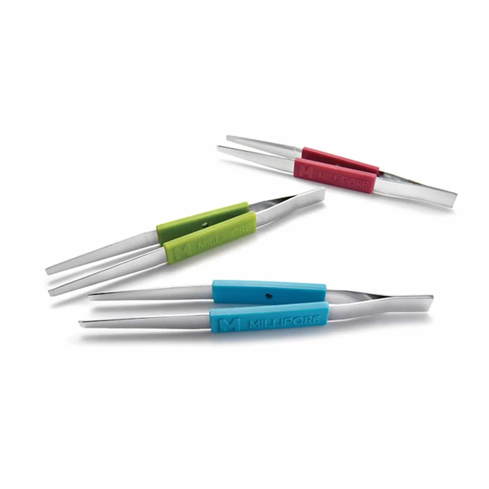XX6200006P - Pinza per membrana, lotto di 3