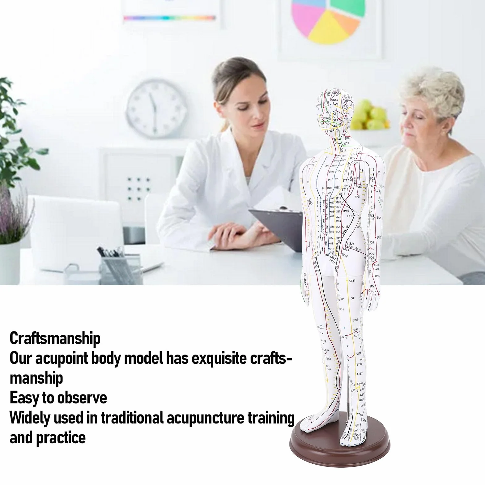 Modello di Agopuntura del Corpo Umano Alta Definizione per Insegnamento