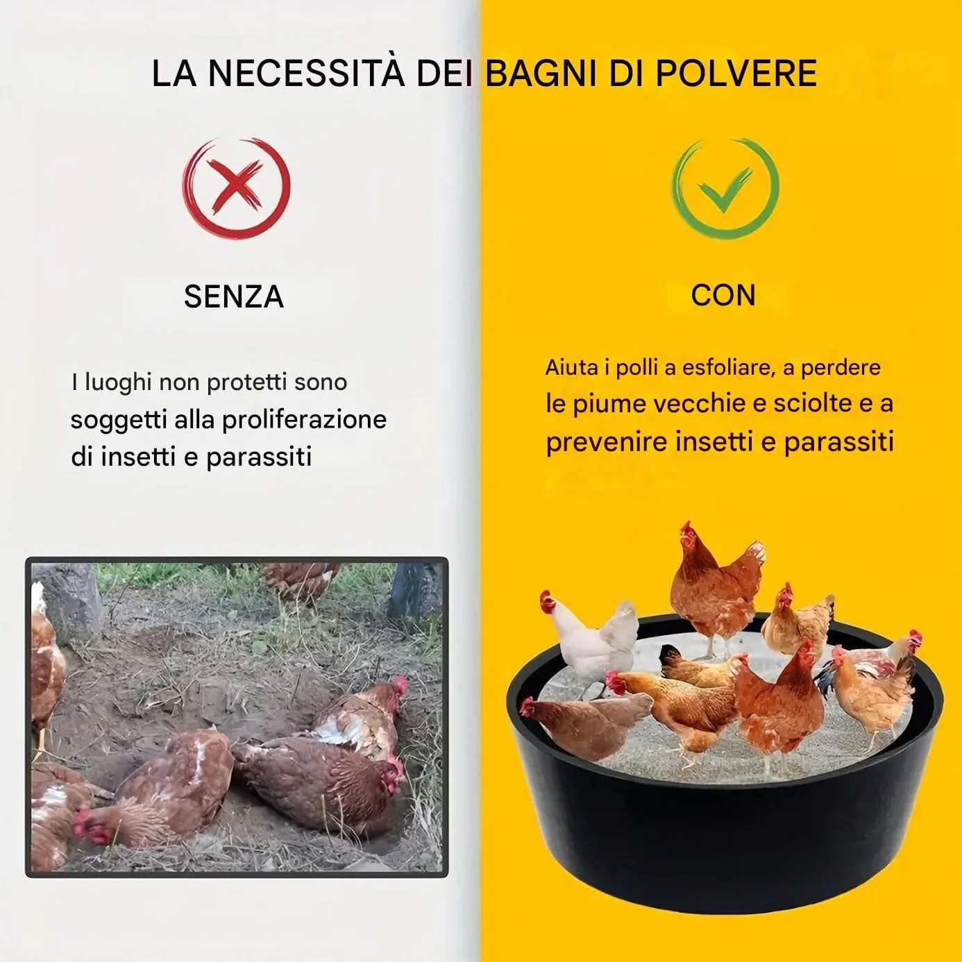 Bagno di Polvere per Galline Pollaio Regolabile 63Cm Pollame
