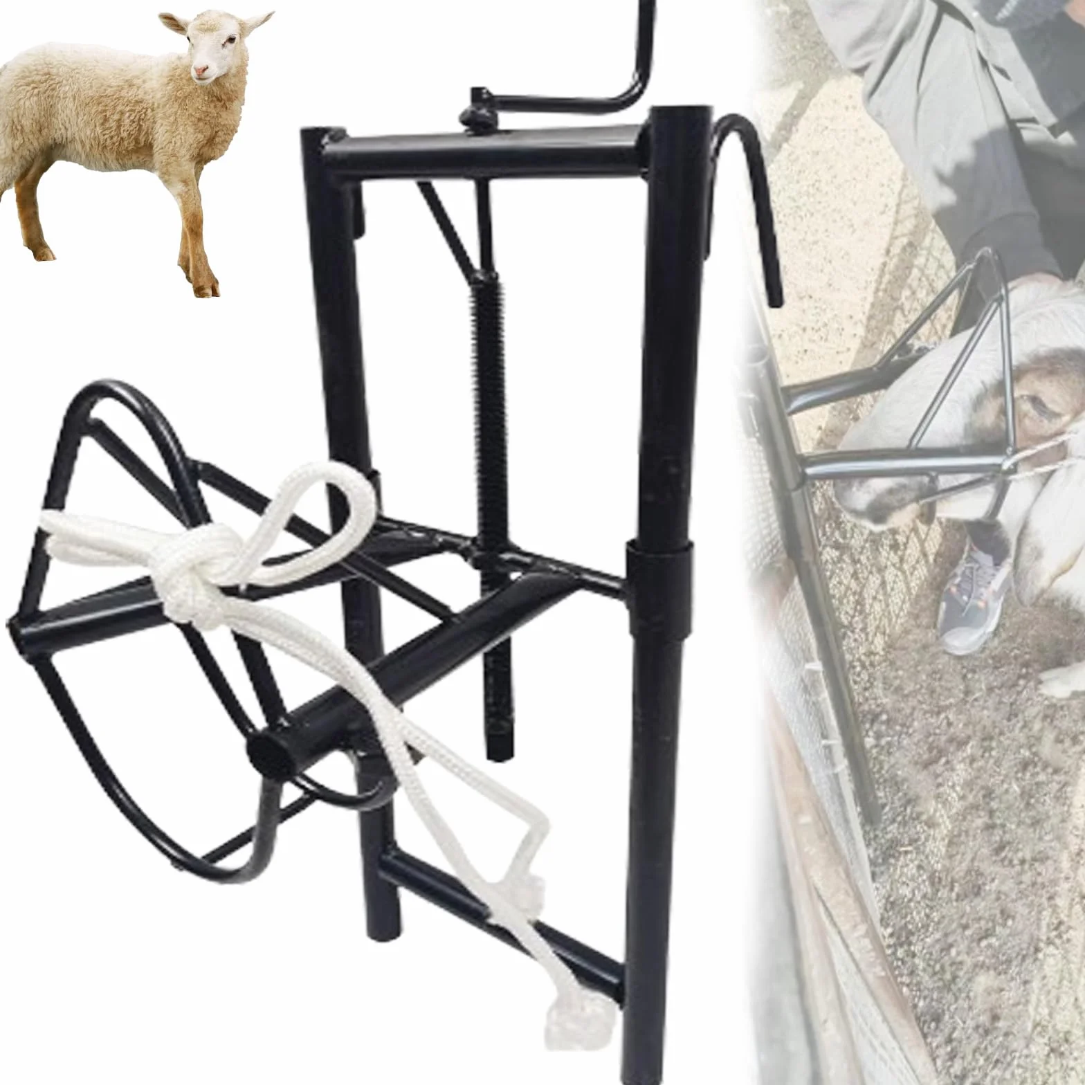 Supporto per tosatura di pecore portatile regolabile per lana professionale