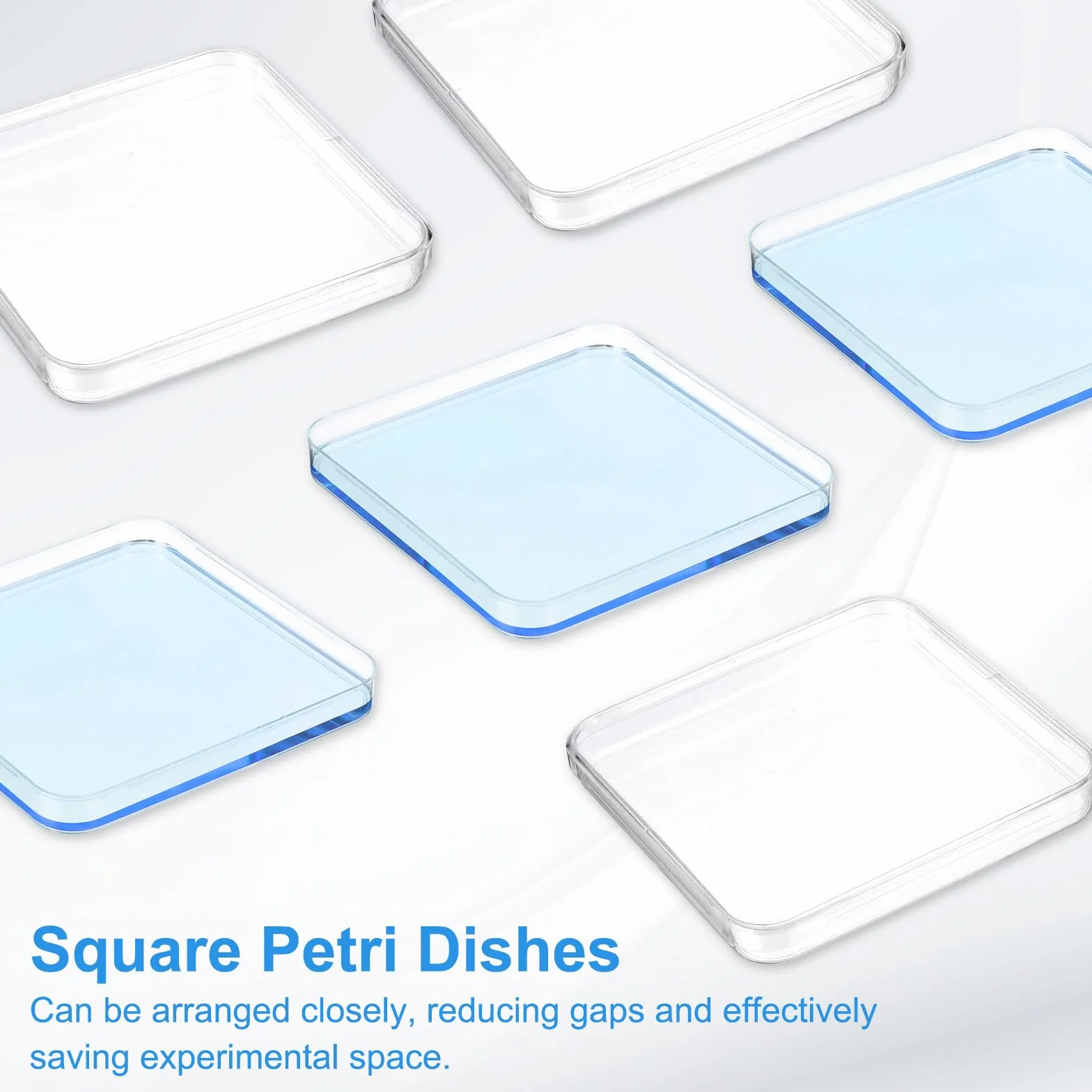 PATIKIL Piastre Petri In Plastica Da 13 cm/5.1 Pollici Con Coperchio, Piastra Quadrata Per Colture Tessutali Per Esperimenti Scientifici In Laboratorio, Trasparente