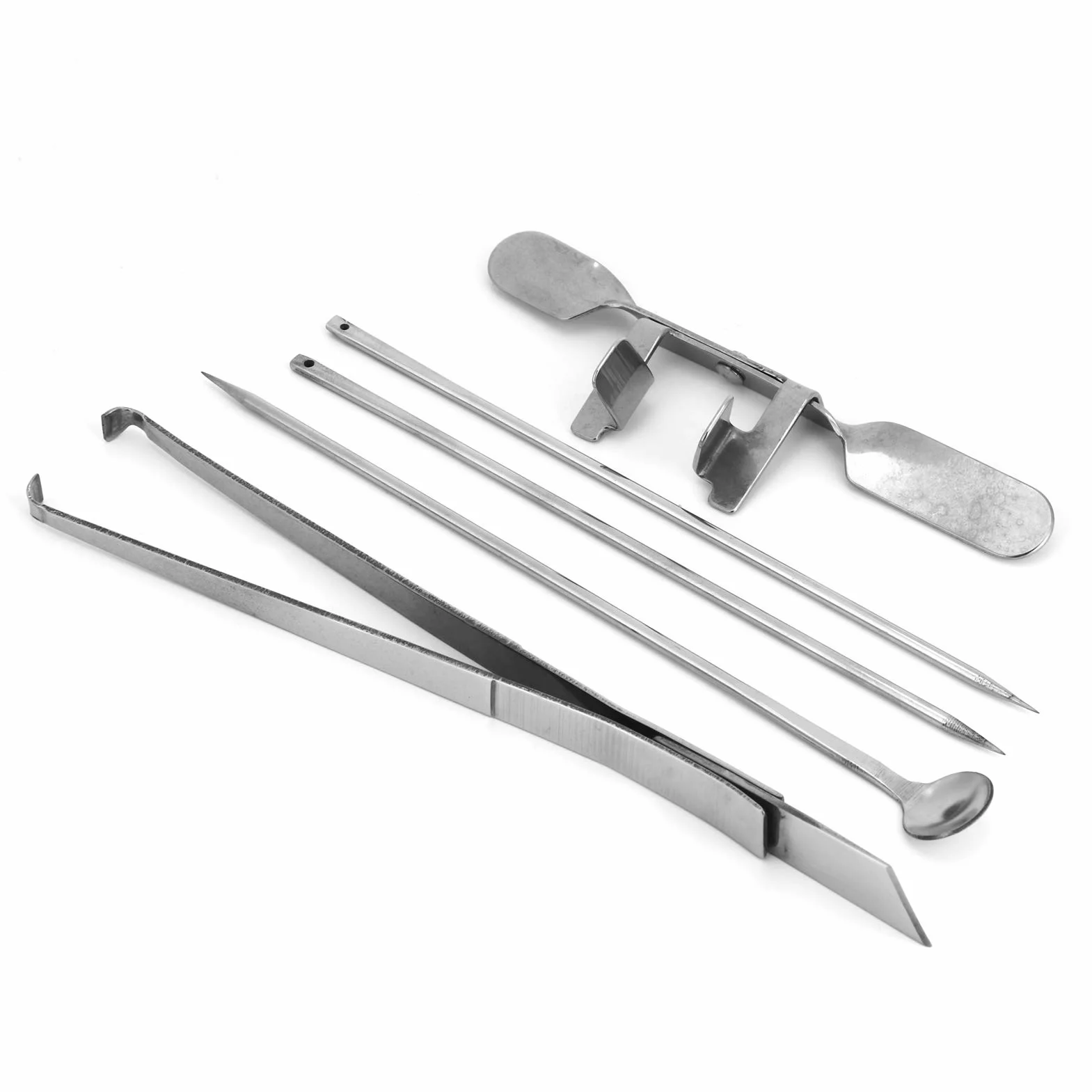 Pssopp Kit in Acciaio Inossidabile per Cappone da 5 Pezzi per Allevamenti di Pollame, Strumenti Affidabili per Castrazione di Pollo, Attrezzatura Chirurgica Facile da Usare e Durevole per la