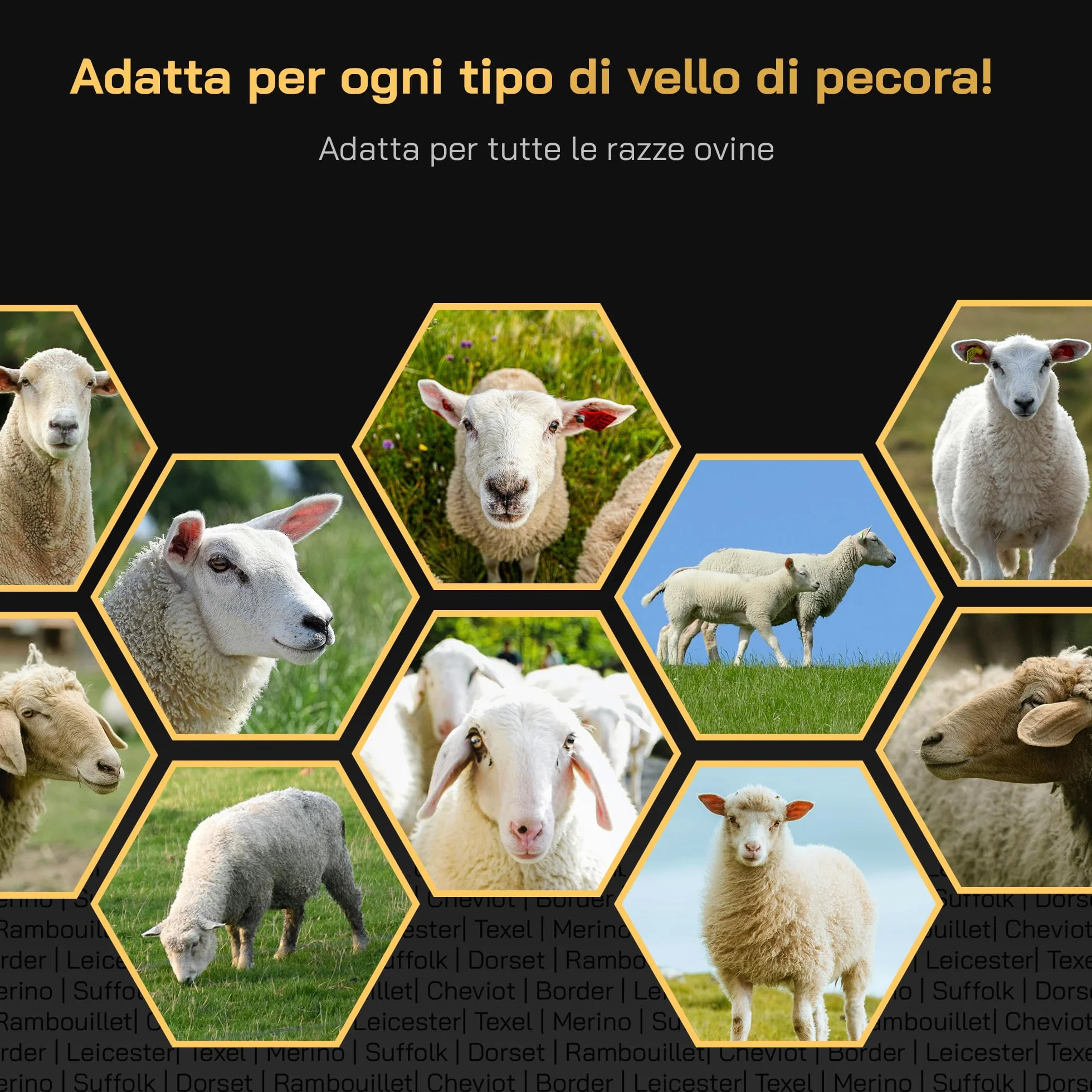 Tosatrice Elettrica per Pecore con Lame Intercambiabili Motore Potente