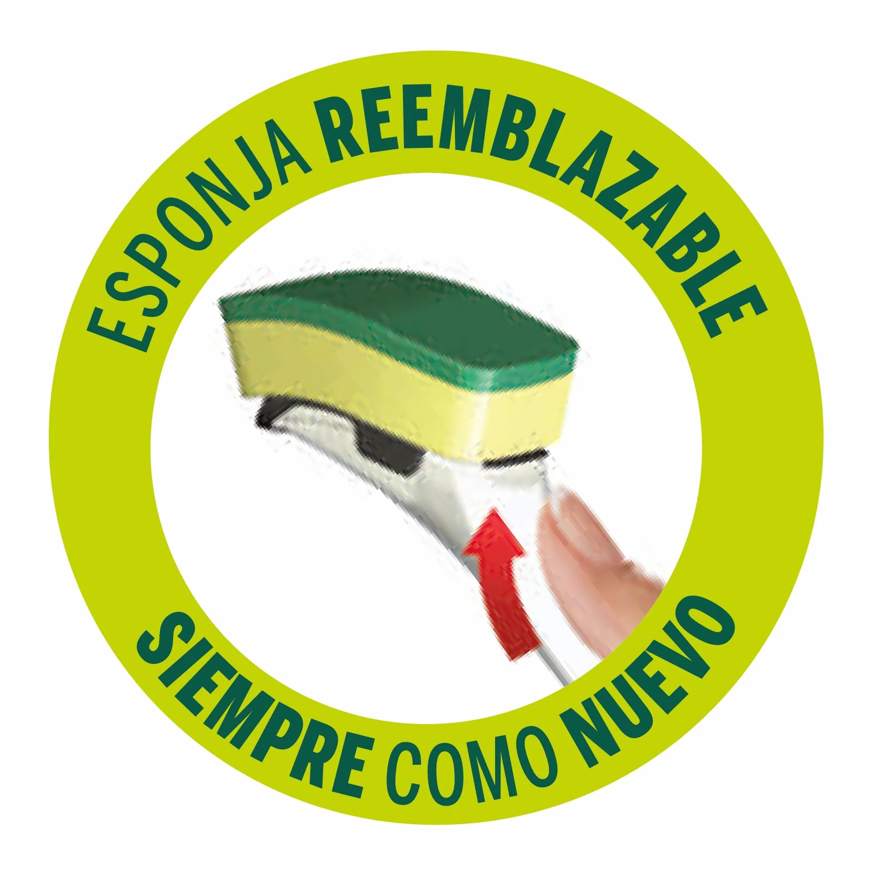 Bayeco Paglietta fibra verde + manico 1 unità (Confezione da 2)