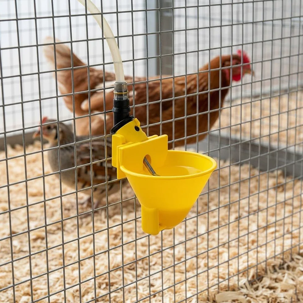 Abbeveratoio automatico per galline e perdici | Confezione da 5 | Collegamento a serbatoio d'acqua | Fissaggio in gabbia | Per pollame, polli, anatre