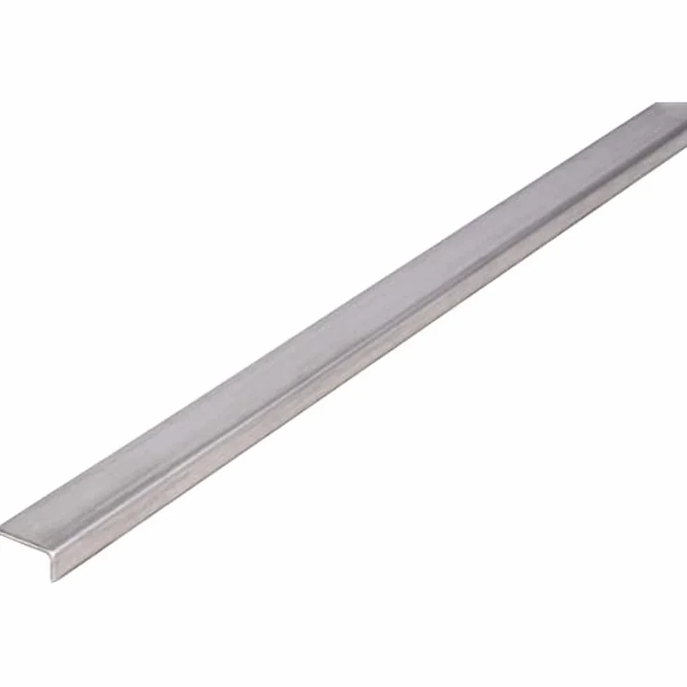 Alberts 485481 Profilo angolare in acciaio inox 1000 x 20 x 10 mm