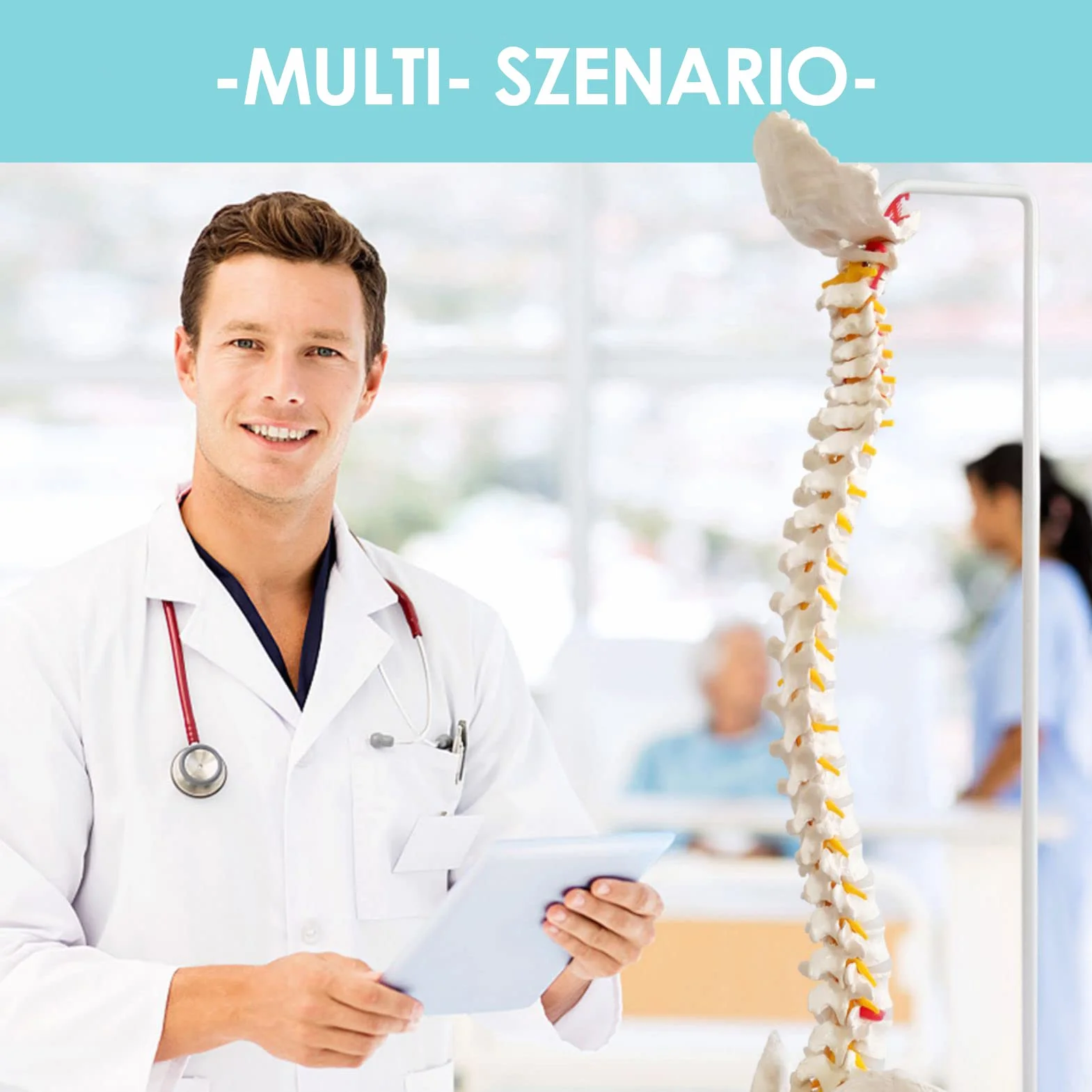 Modelo de columna vertebral flexible a tamaño natural 33 pulgadas (85 cm) con médula espinal, vértebras, nervios, arterias, lumbar, pelvis y soporte