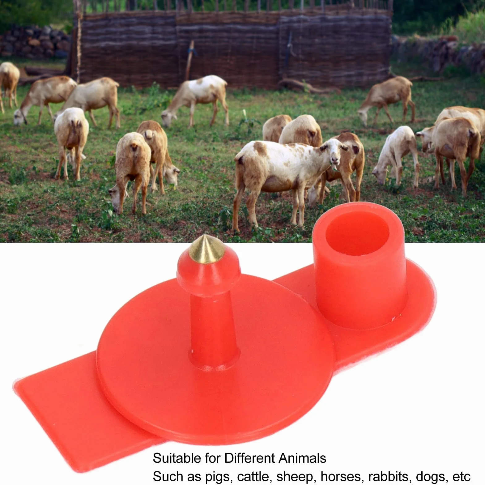 Marchi auricolari vuoti plastica rossa 100 pezzi per bestiame identificazione bovini