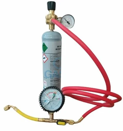 Kit azoto "FLUSH" con riduttore di pressione + 1 manometro 0-10 bar