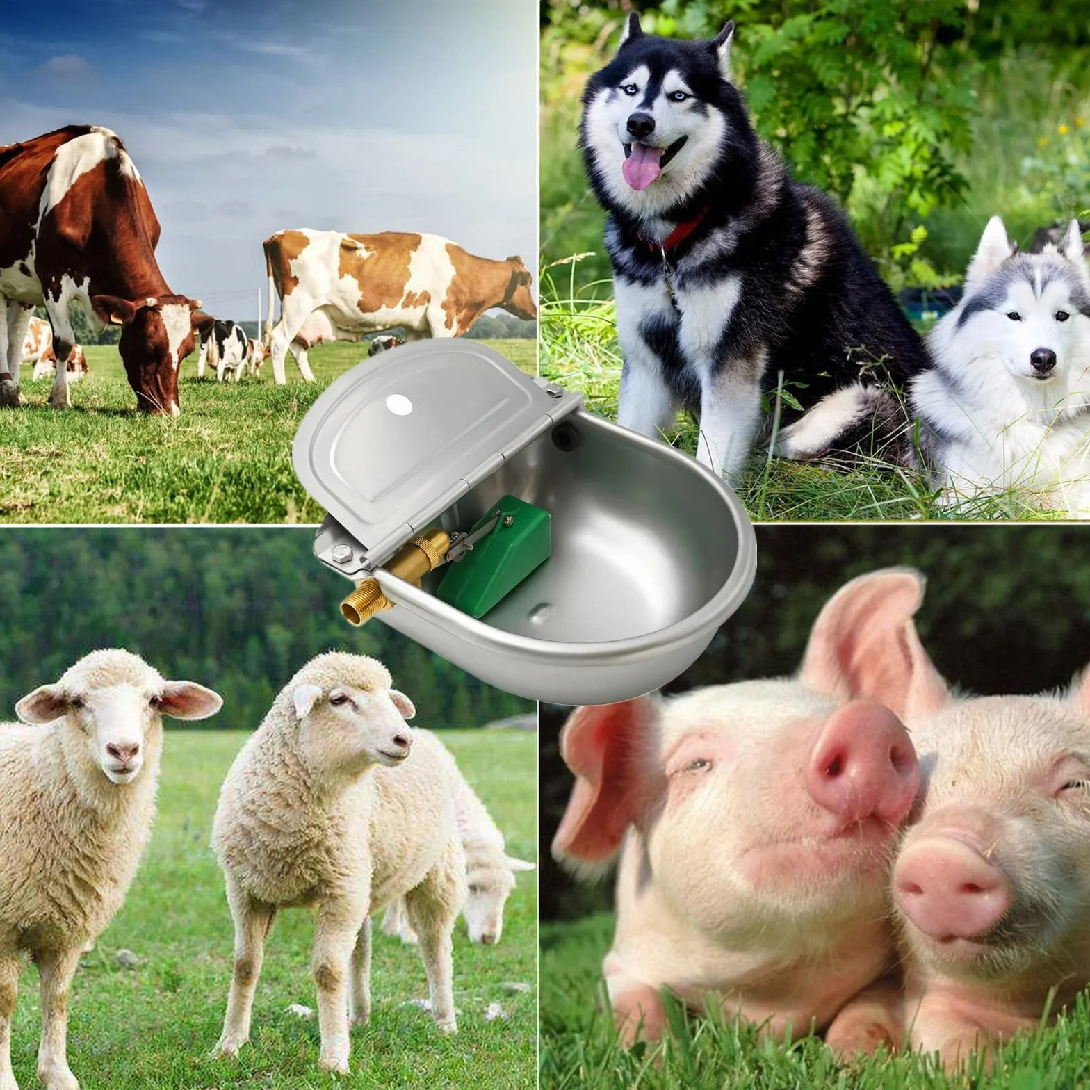 Abbeveratoio automatico in acciaio inox con valvola galleggiante per cani, cavalli, capre, pecore