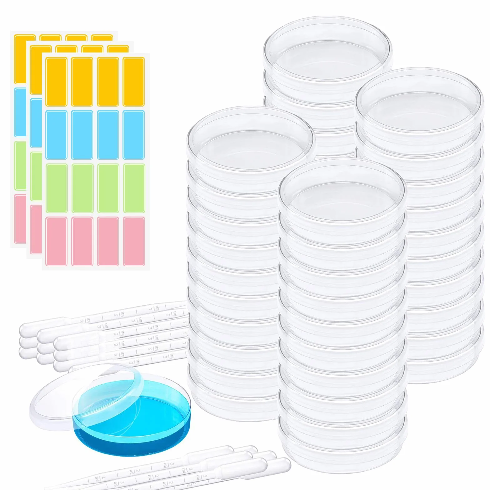 40 Pezzi Piastre Petri da 60 mm, Set di Piastre di Petri in Plastica Sterile con Coperchio, con 20 Pipette, per Coltivare Batteri, Corsi di Esperimento per Studenti e Ricerca Biologica