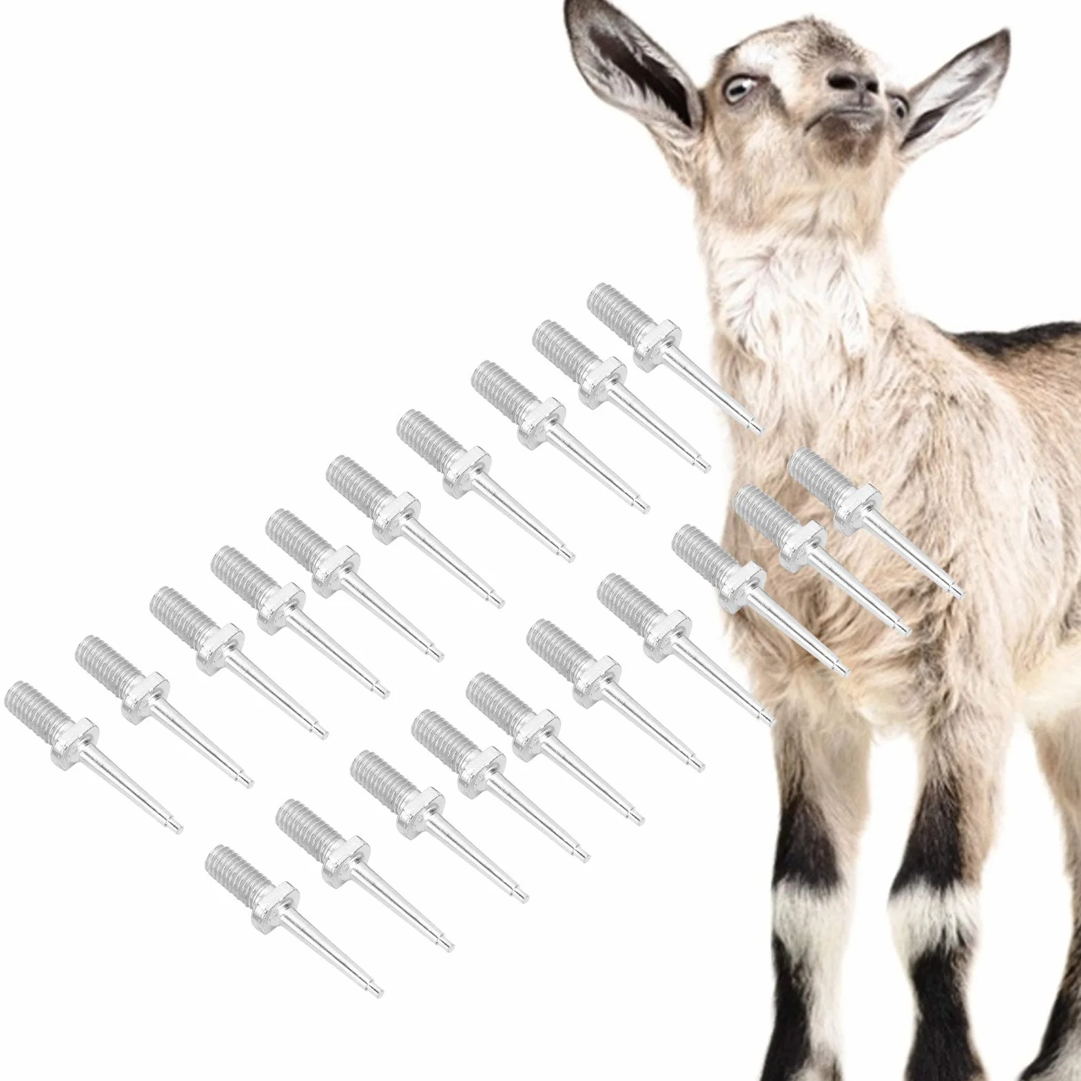 Voluxe Pin di Ricambio per pinze per Marchi Auricolari Animali, Perno per Marchio Auricolare per Bestiame, Perno per suini bovini Ovini per bovini(Stainless Steel Ear Tag Needle)
