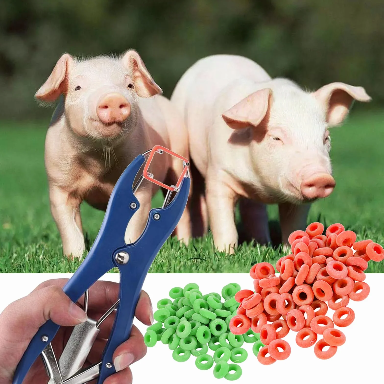 Pinza per Castrazione con 100 Anelli di Gomma, per Ovini, Bovini, Pecore e Maiali