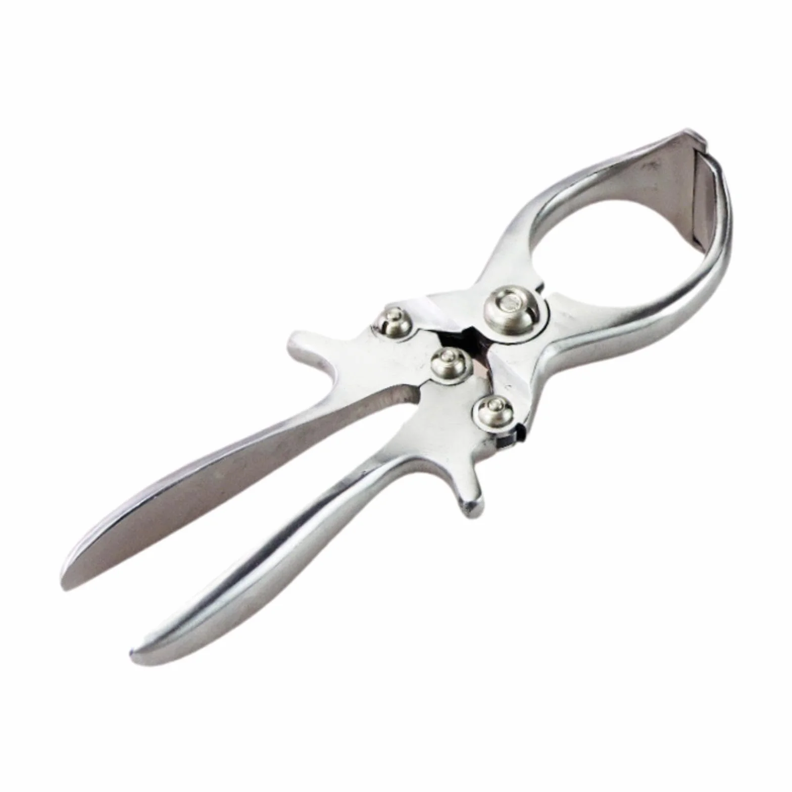 MagiDeal Pinza da castrante Castrazione acciaio inossidabile Elastratore di rimozione della coda veterinaria per bestiame per maialini di agnello