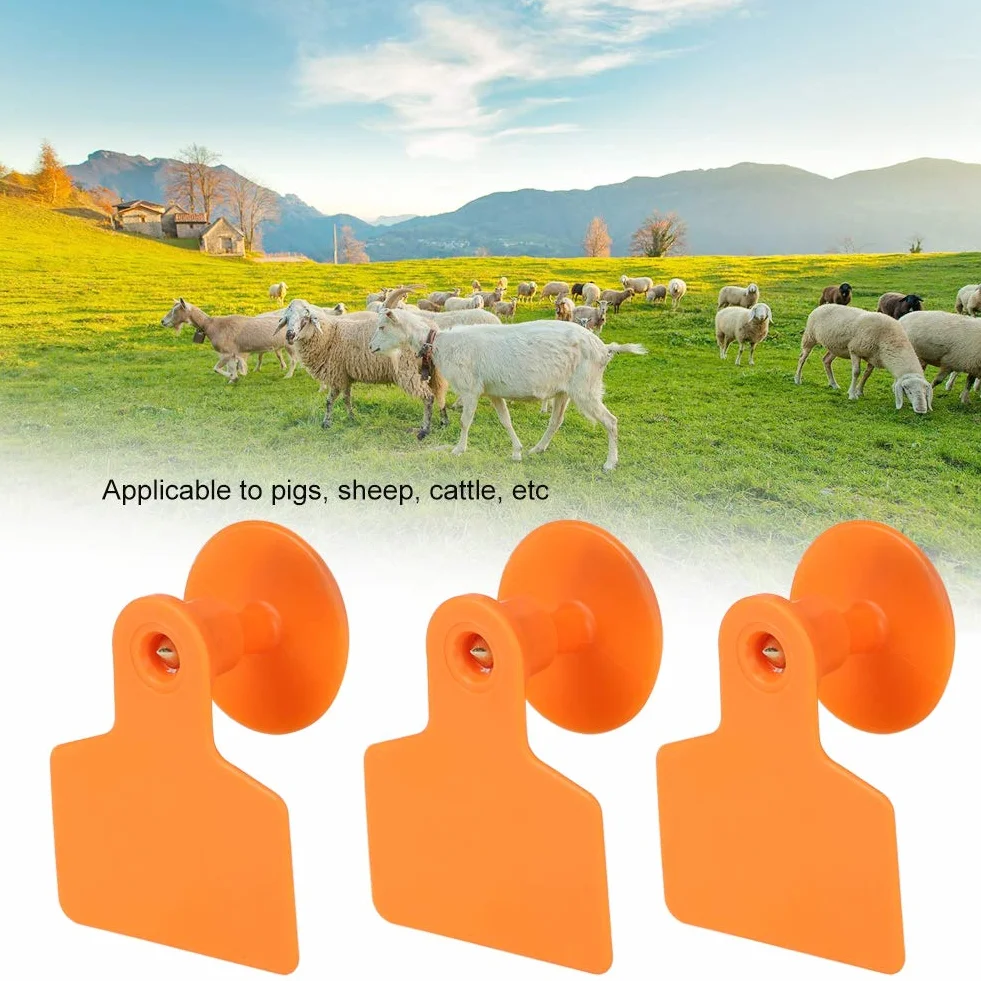 100 targhette auricolari in plastica, per animali, etichette identificative per capra, maiale, mucca, pecora, animale (arancione)