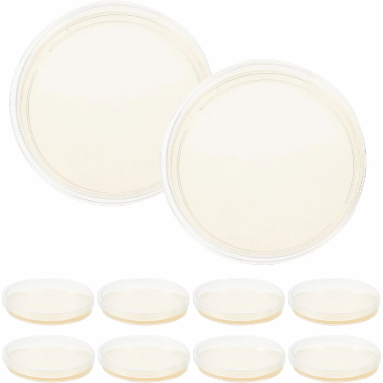GLEAVI Piastre Petri Agar Lb 9Cm 10 Pezzi Terreno Di Coltura Microbiologica Pronto All'Uso Per Laboratorio Progetti Scolastici E Analisi Scientifiche