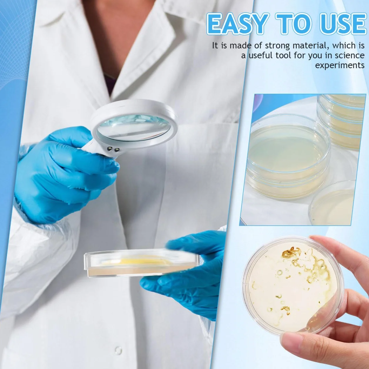 ULTECHNOVO 20 Piastre Di Petri Con Agar Preversato Per Esperimenti Scientifici Piastre Da Laboratorio 7X7Cm Ideali Per Scienze Stem E Progetti Didattici
