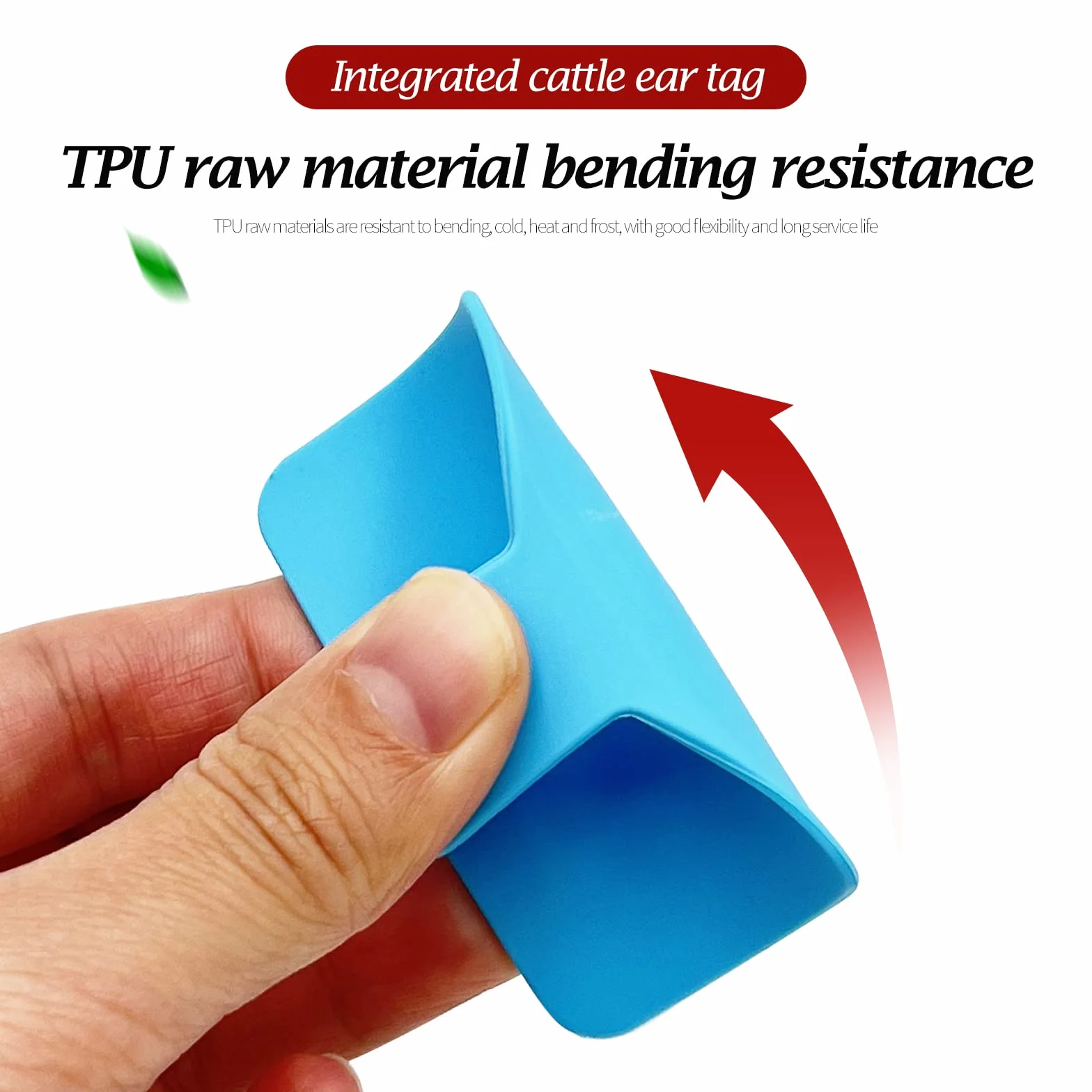 100 etichette auricolari vuote per bestiame 7,9 cm L x 2,6 cm W blu etichette per l'identificazione degli animali in TPU etichette per bestiame strumenti agricoli per mucche maiali pecore