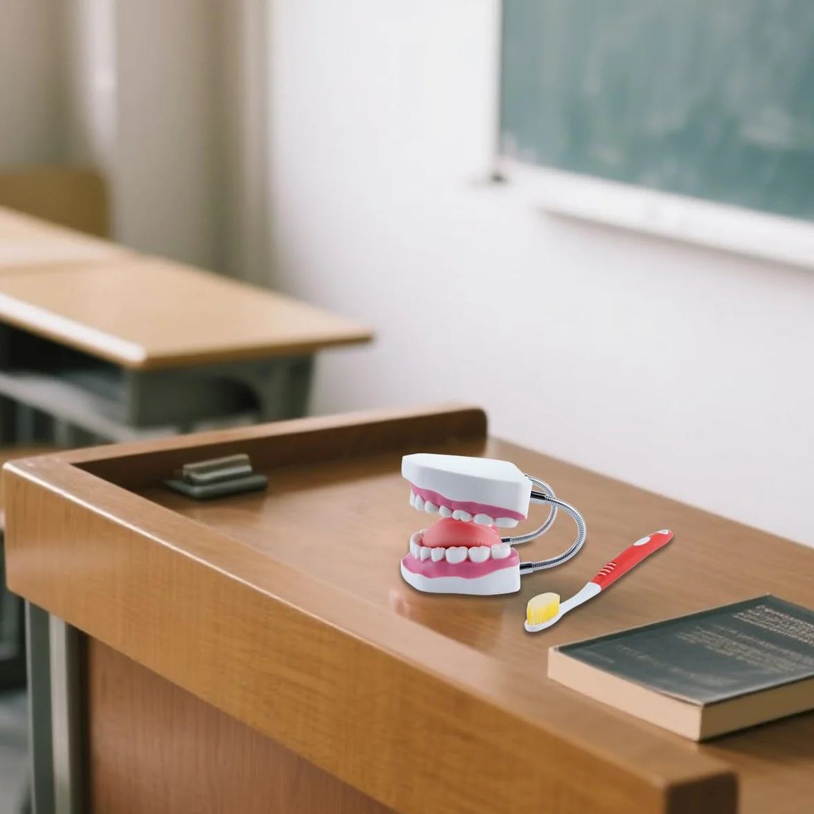Model jamy ustnej 6x powiększony z ruchomym językiem i składanym stojakiem, realistyczne kolory do edukacji stomatologicznej