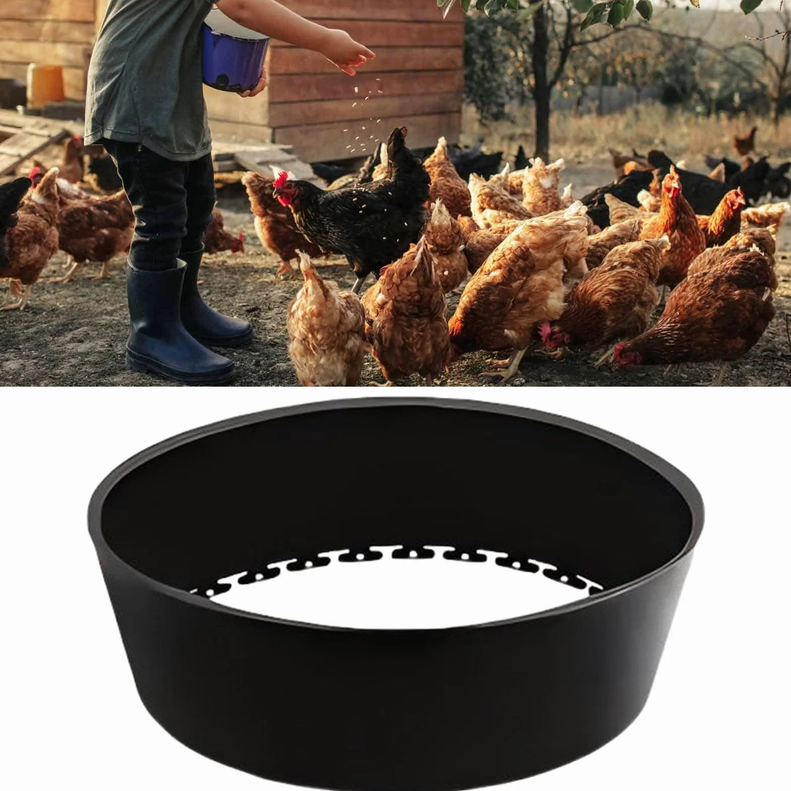 Bagno di Polvere per Galline Pollaio Regolabile 63Cm Pollame
