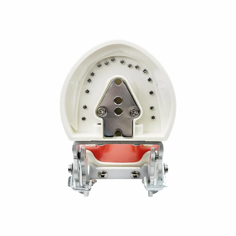 Dentale Typodont Model 28 Zębów Staccabile Strumenti Studio Didattico Articolato Anatomia Denti Rimovibili con Cacciavite