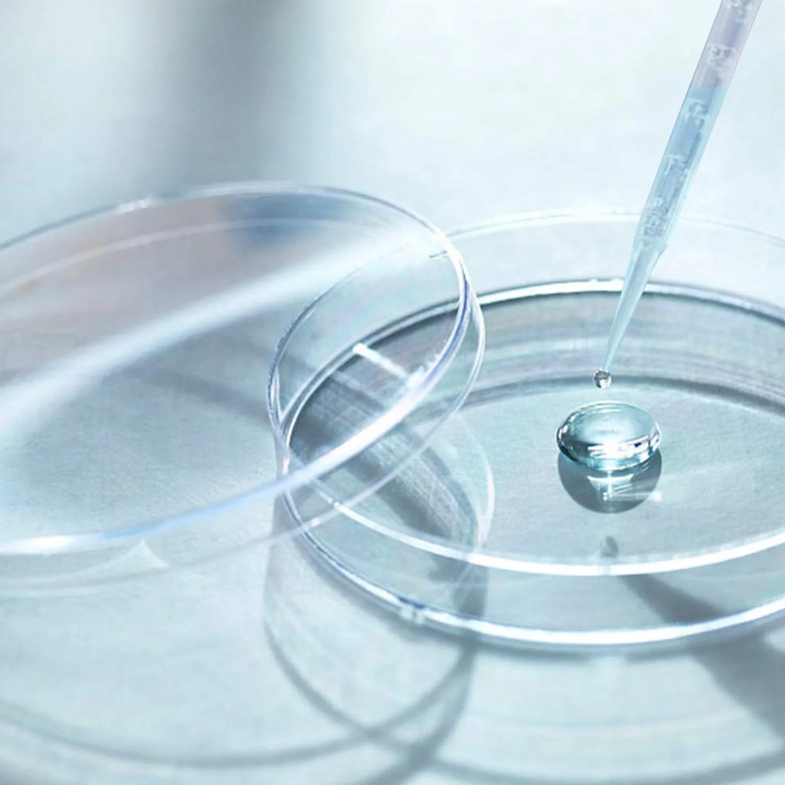 40 Pezzi Piastre Petri da 60 mm, Set di Piastre di Petri in Plastica Sterile con Coperchio, con 20 Pipette, per Coltivare Batteri, Corsi di Esperimento per Studenti e Ricerca Biologica