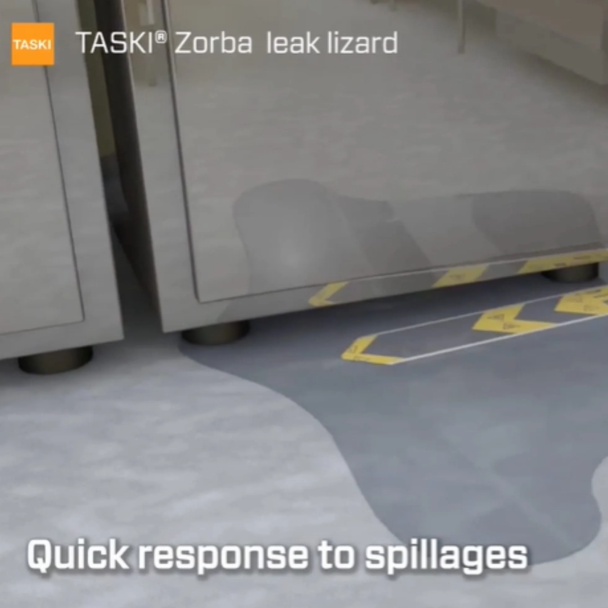 TASKI 7523269 Diversey Zorba - Strisce di contenimento per lucertola, in scatola