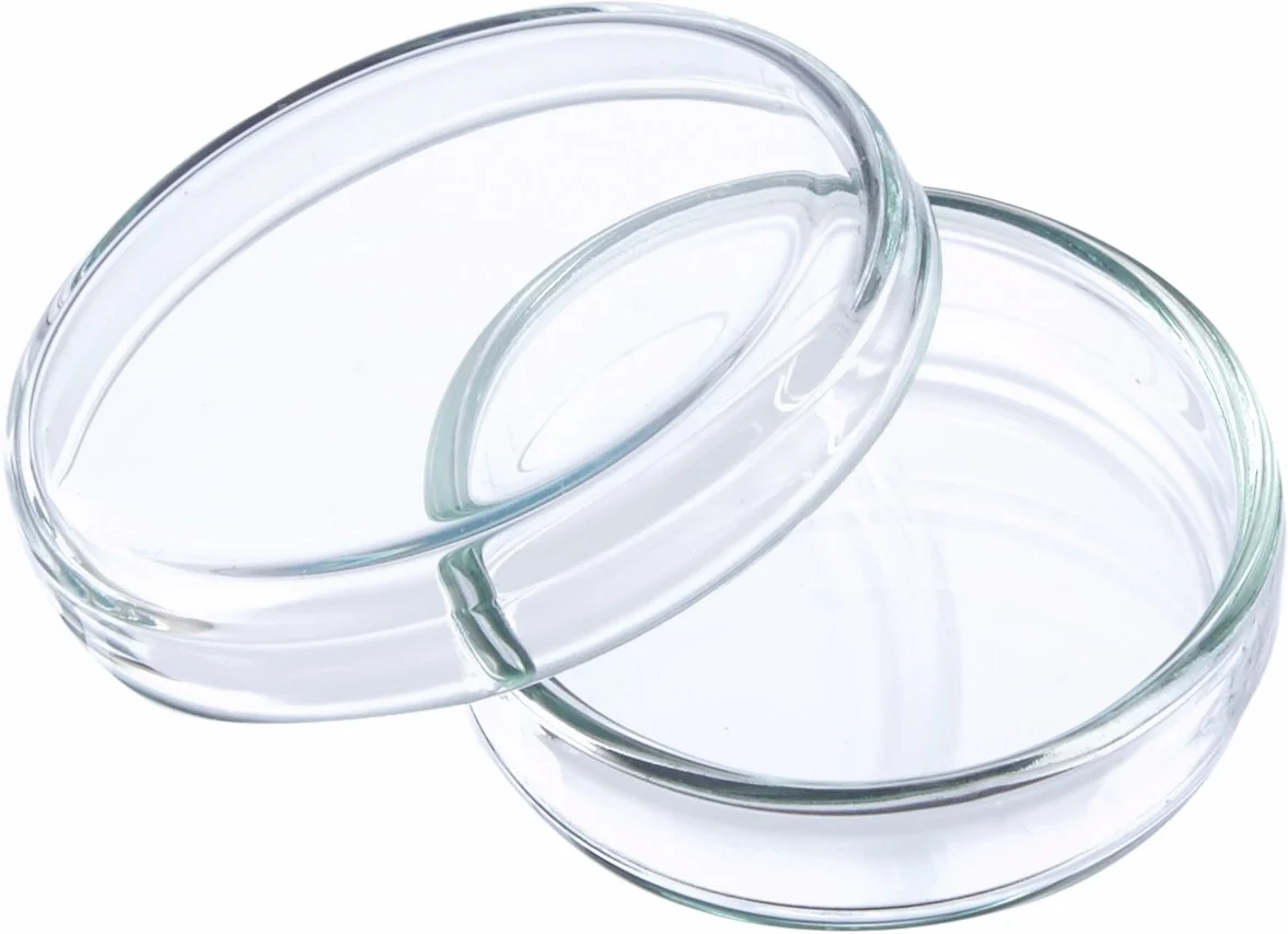 Neolab Anumbra E-2130 - Set di 5 ciotole Petri, 40 mm x 12 mm
