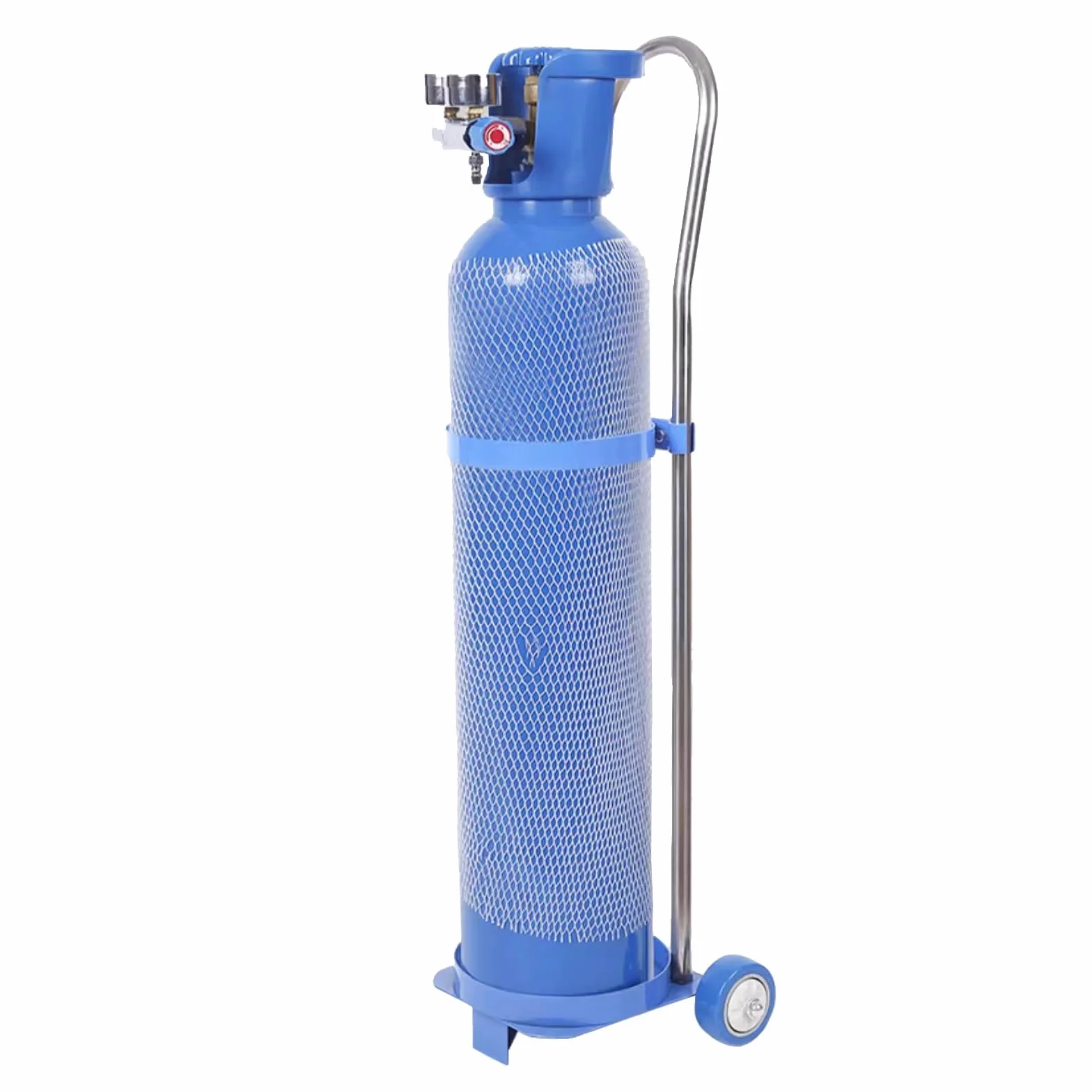 Carrello portabombole Leggero, Carrello for Ossigeno in Acciaio Inox con Ruote, Carrello portabombole Portatile for Uso Industriale, ospedaliero e Domestico(10L/2.6Gal(H 31.5 inch))