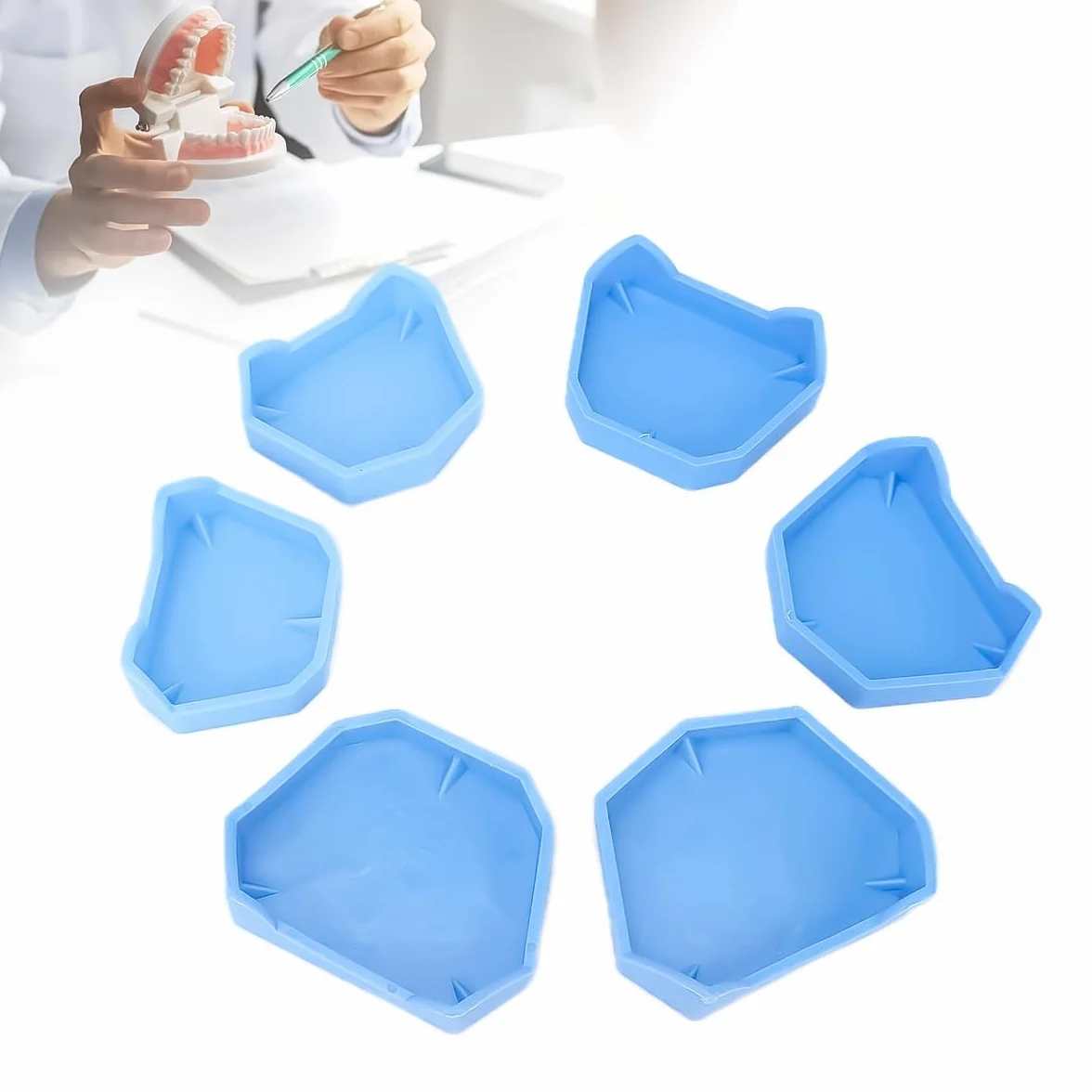 Base de yeso para modelo dental 6 piezas bandeja de moldes impresión dental