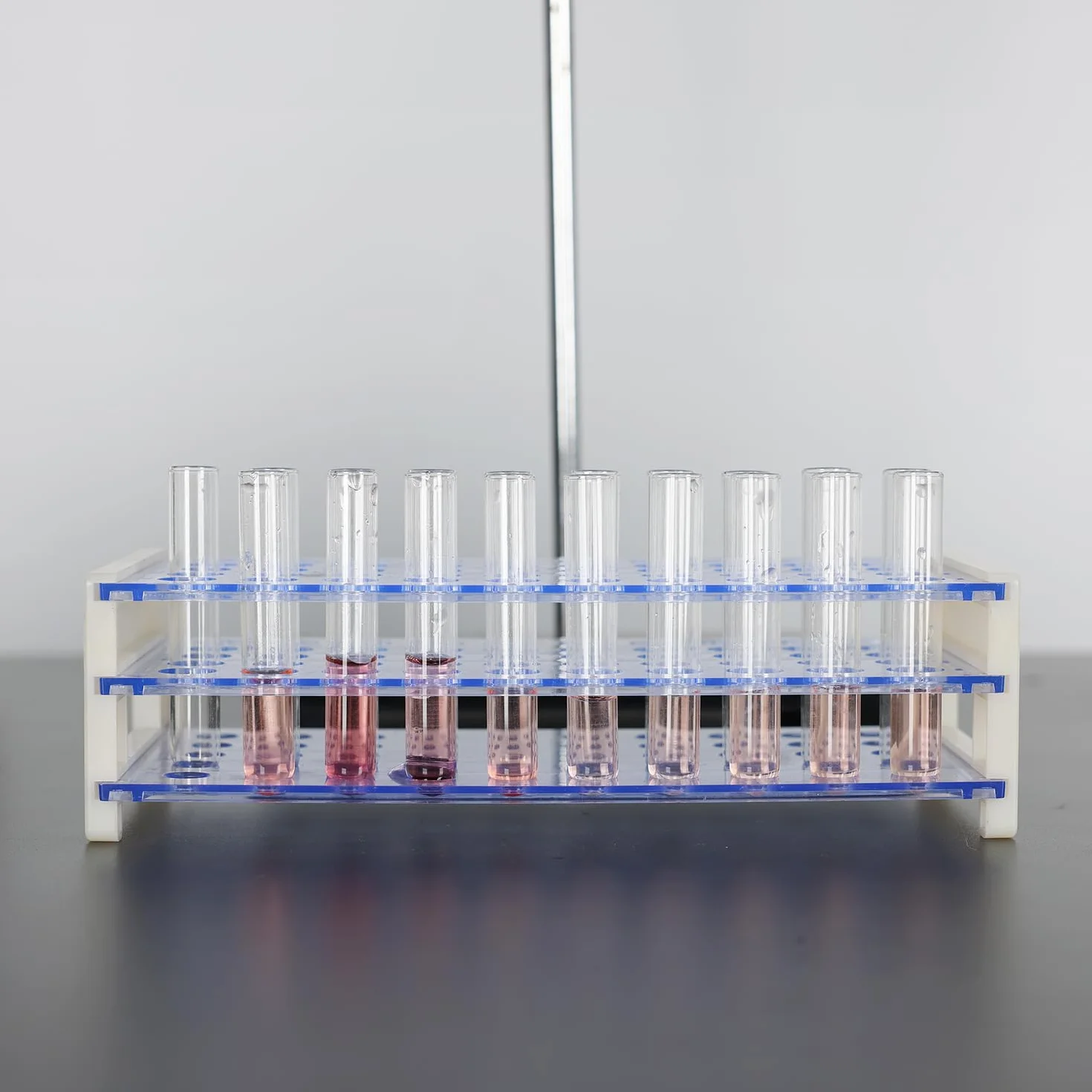 Labasics Rastrelliera per Provette 50 Posti 16 mm Plastica Blu a tre Livelli Rimovibile