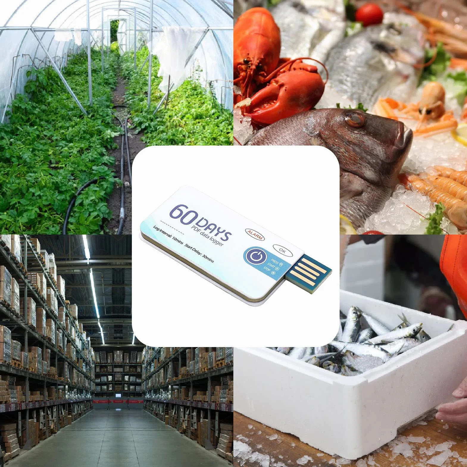 Registratore di Temperatura USB Data Logger 10.000 Gruppi Grafico
