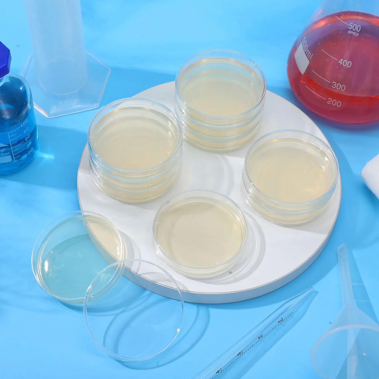 ULTECHNOVO Kit Di Progetti Scientifici Per Microbiologia 10 Pezzi Piastre Di Agar Pre-Versate Piastre Di Petri Per Imparare La Microbiologia Progetto Educativo Per La Della Scienza.
