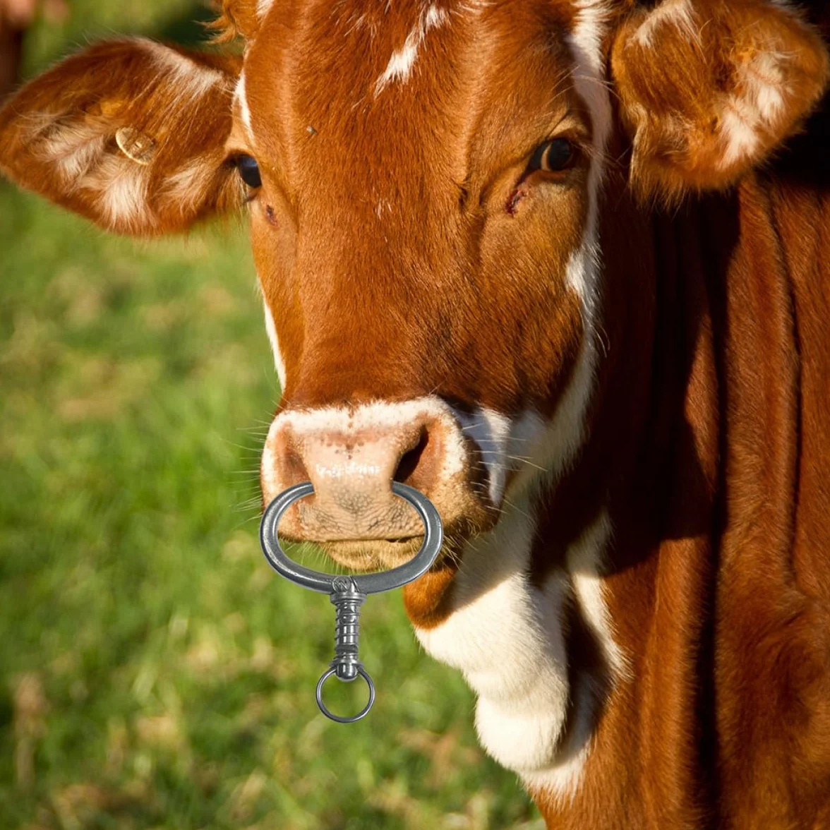 Anello Nasale in Acciaio Inox per Bovini Pinza a Becchi Spessi