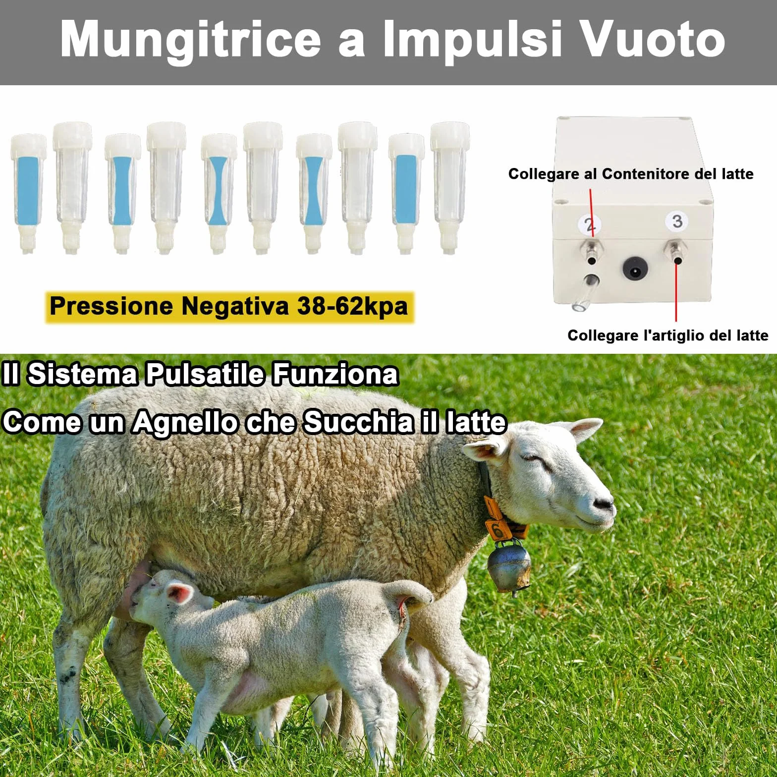 Mungitrice per mucche, 【KOUBHYJ 12L Attrezzatura per la Mungitura】[Integrato-Caricabile e collegabile-Massaggio pulsante]con Secchio in Acciaio Inox 4 Tettarella In Gomma per Mucche