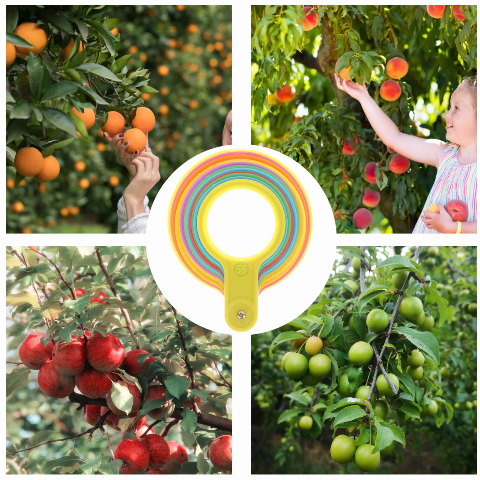 Happyyami Anelli di Misurazione della Frutta Strumento Misurazione Diametro Arancione Misuratore di Verdure
