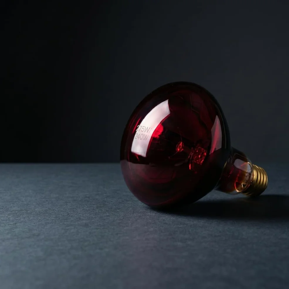 KMINA Lampada Infrarossi 275W per Lampada Riscaldante, Attacco E27, Luce Rossa Rubino, 220 a 240V, Vetro e Alluminio, Ricambio