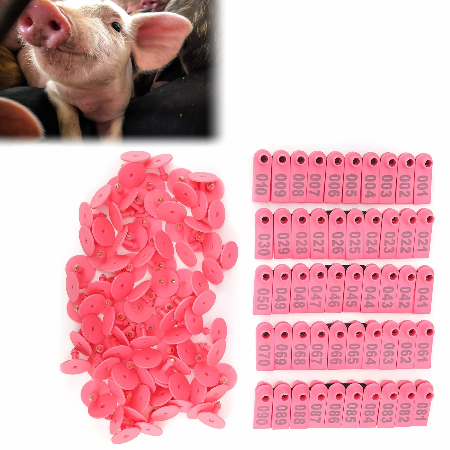 100 Pezzi di Marchi Auricolari per Animali da Fattoria in Plastica per Orecchini di Plastica per Capre Pecore Bovini Mucche Maiali[Rosa] Accessori per il trasporto di animali da allevamento