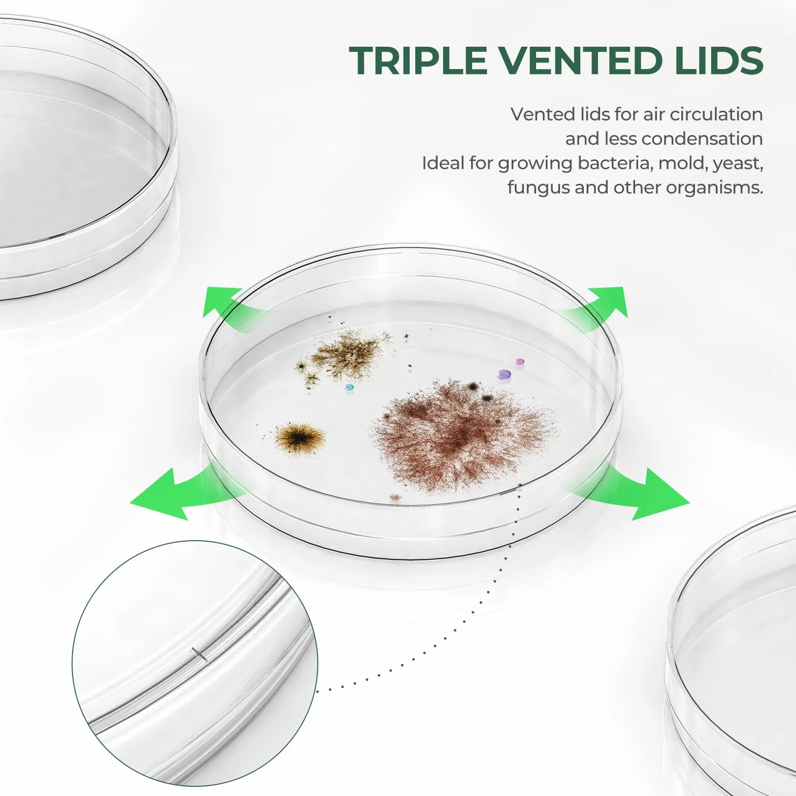 Confezione da 10 piastre Petri sterili in plastica spessa con coperchio, piastra Petri trasparente con 3 prese d'aria, diametro 90 mm x profondità 15 mm, per esperimenti scientifici di laboratorio