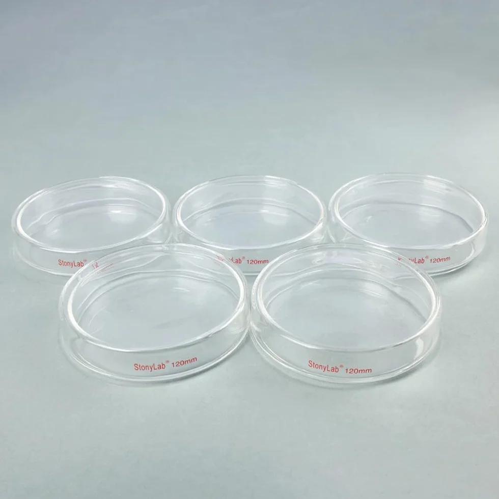 stonylab Piastra di Petri in Vetro con Coperchio, Confezione da 5 Vetro Borosilicato Piatto per Colture Cellulari Piastra di Petri Autoclavabile Trasparente per Laboratorio, 120x25 mm