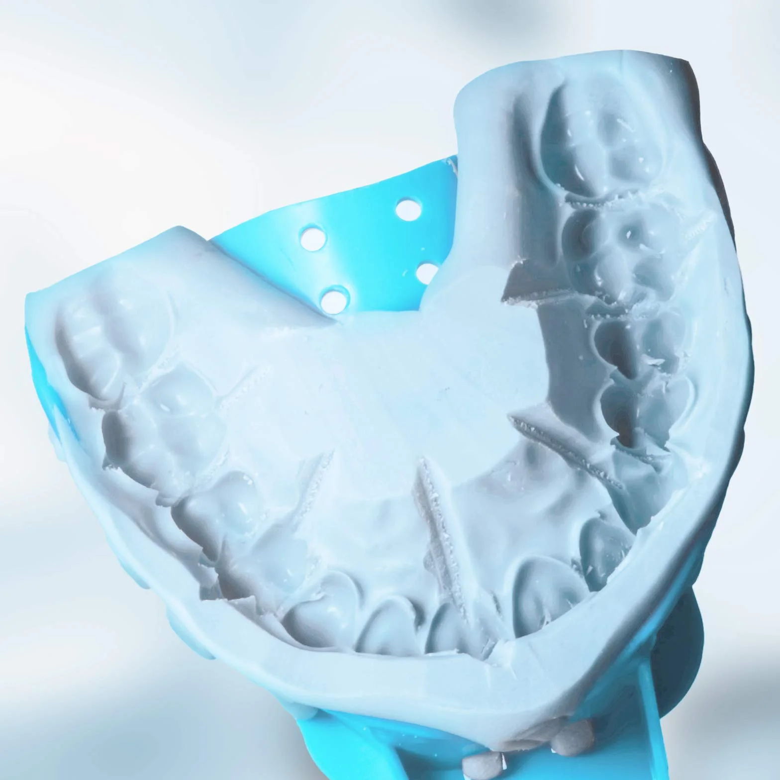 Vassoio per impronte dentali perforati autoclave 8 quadranti UL/LR sacchetto 12