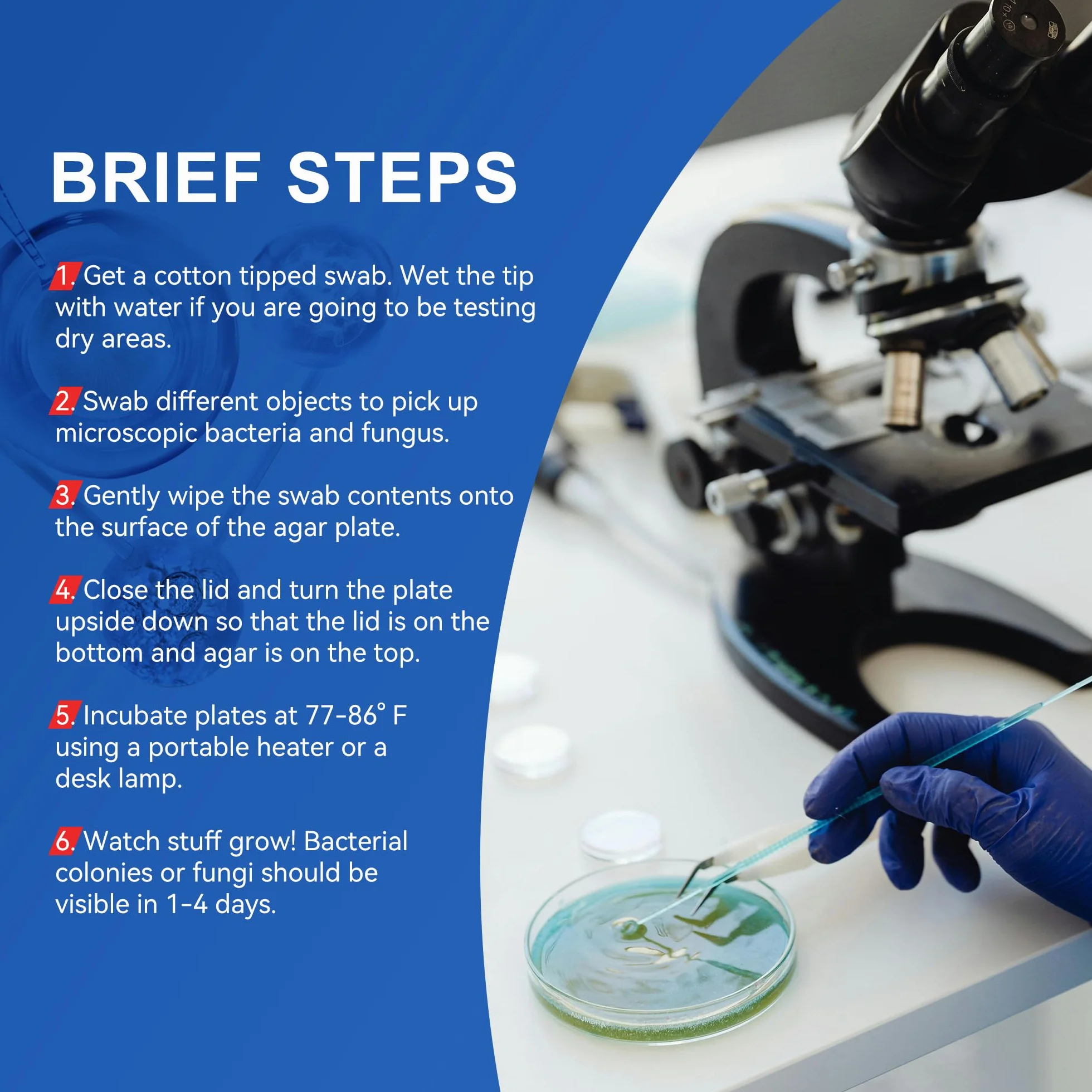 Kit di progetti scientifici per piatti di agar nutrienti e tamponi di cotone preversi per esperimenti scientifici | Kit scientifico batterico sigillato separatamente