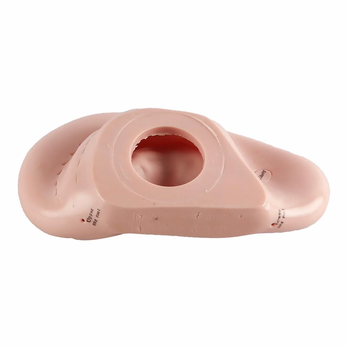 Modello punti di agopuntura dell'orecchio in PVC morbido 17 cm
