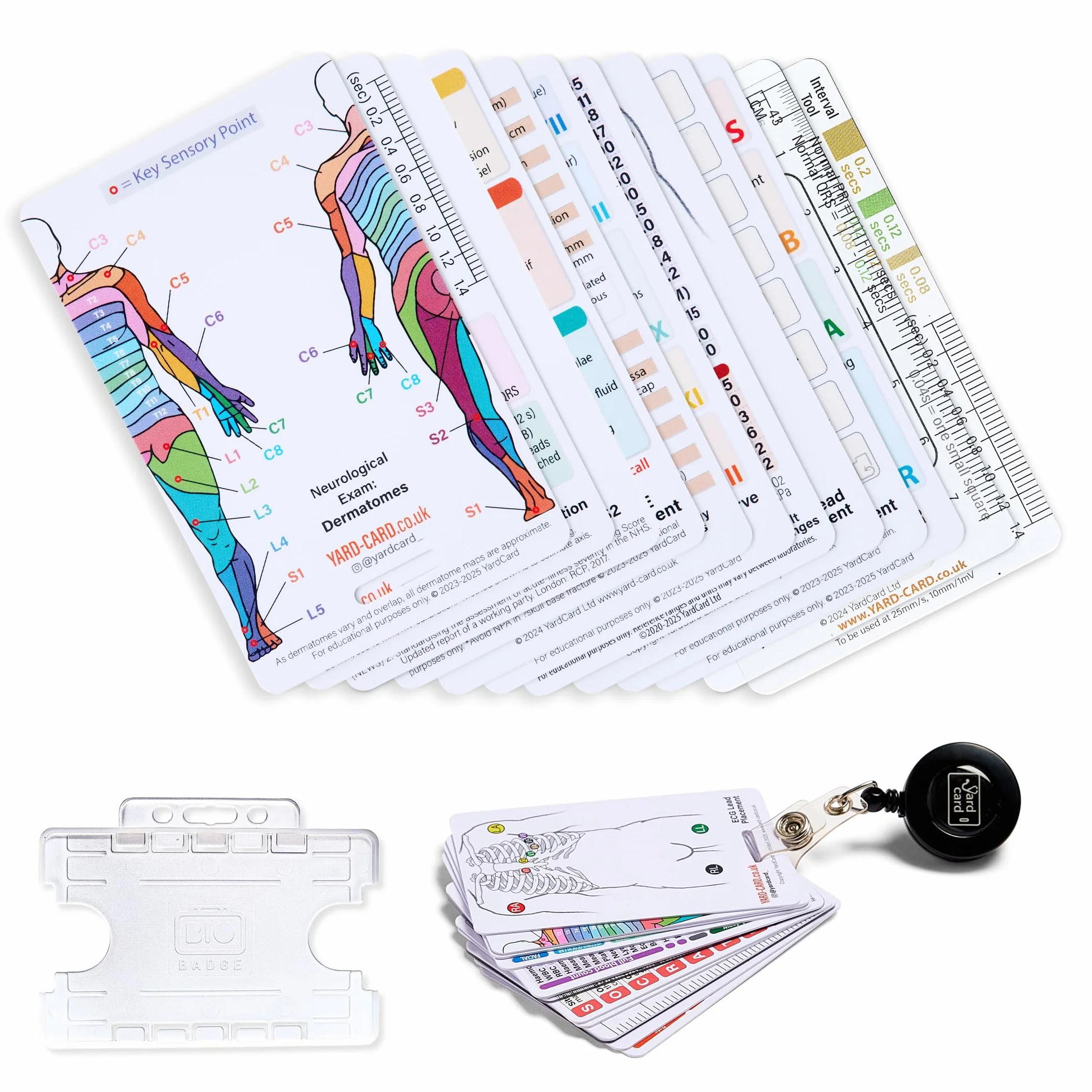 YardCard Set di 12 Carte Essenziali per Cravatta (Dimensione Tessera ID) con Supporto e Bobina Retrattile per Infermieri, Studenti Infermieri, Medici, Paramedici, Studenti di Medicina