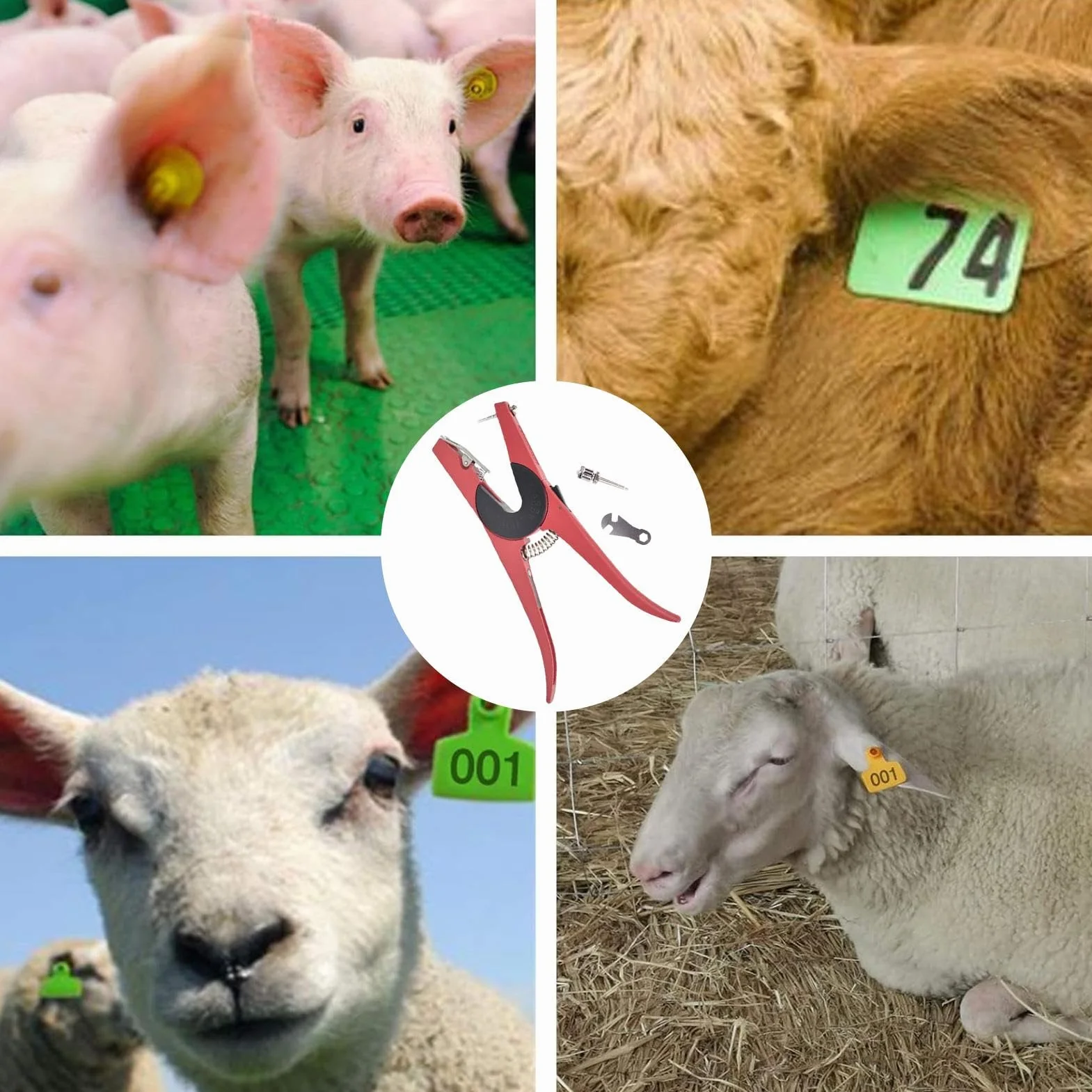 Pinza per orecchini per bovini | Strumento di installazione di carte di identificazione | Pinza per appoggiare gli orecchini per bovini, per mucche, pecore, capre, cervi, cani, fattoria, ranch e G