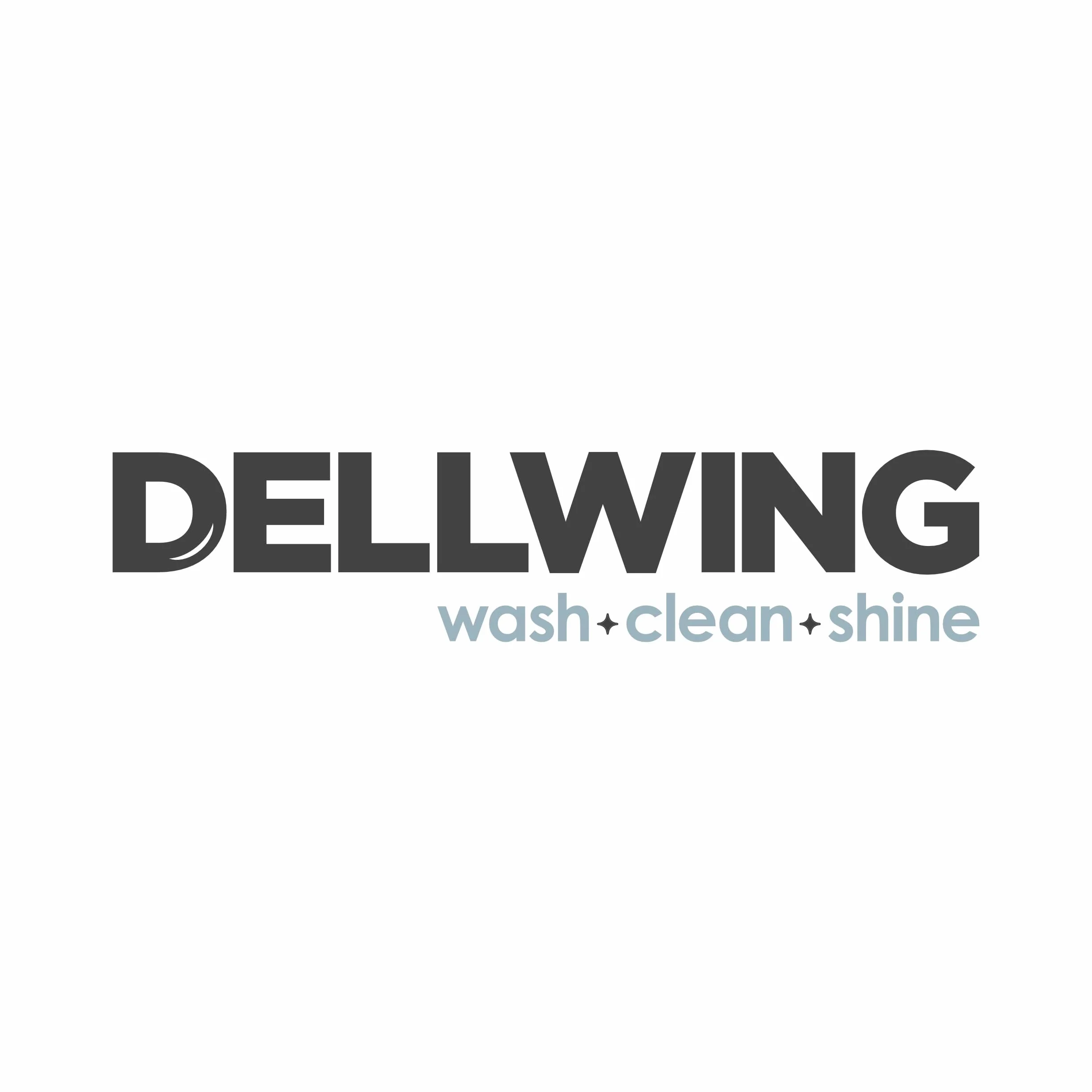 DELLWING HD Detergente speciale Neutro 2.5L Concentrato pulizia ad ultrasuoni per occhiali gioielli