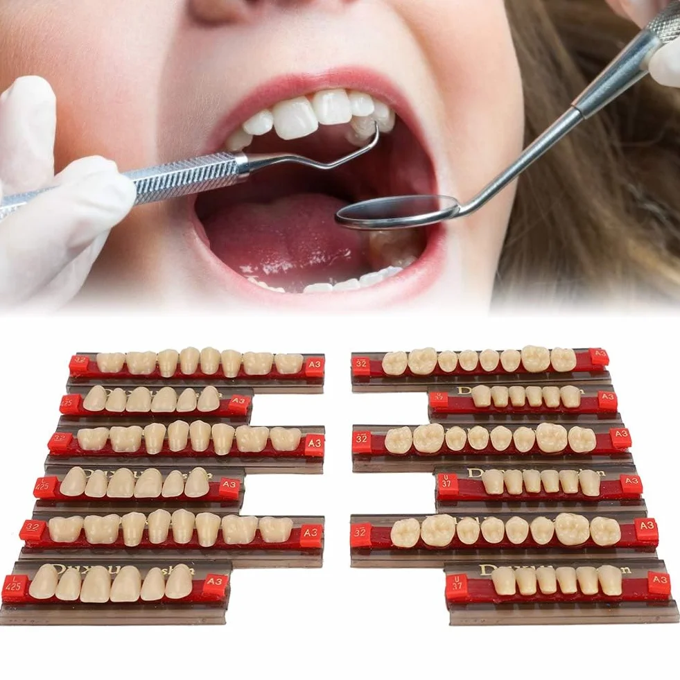 Denti in Resina Sintetica Acrilica per Protesi Dentale, Modelli Dentali, Forniture per Dentisti