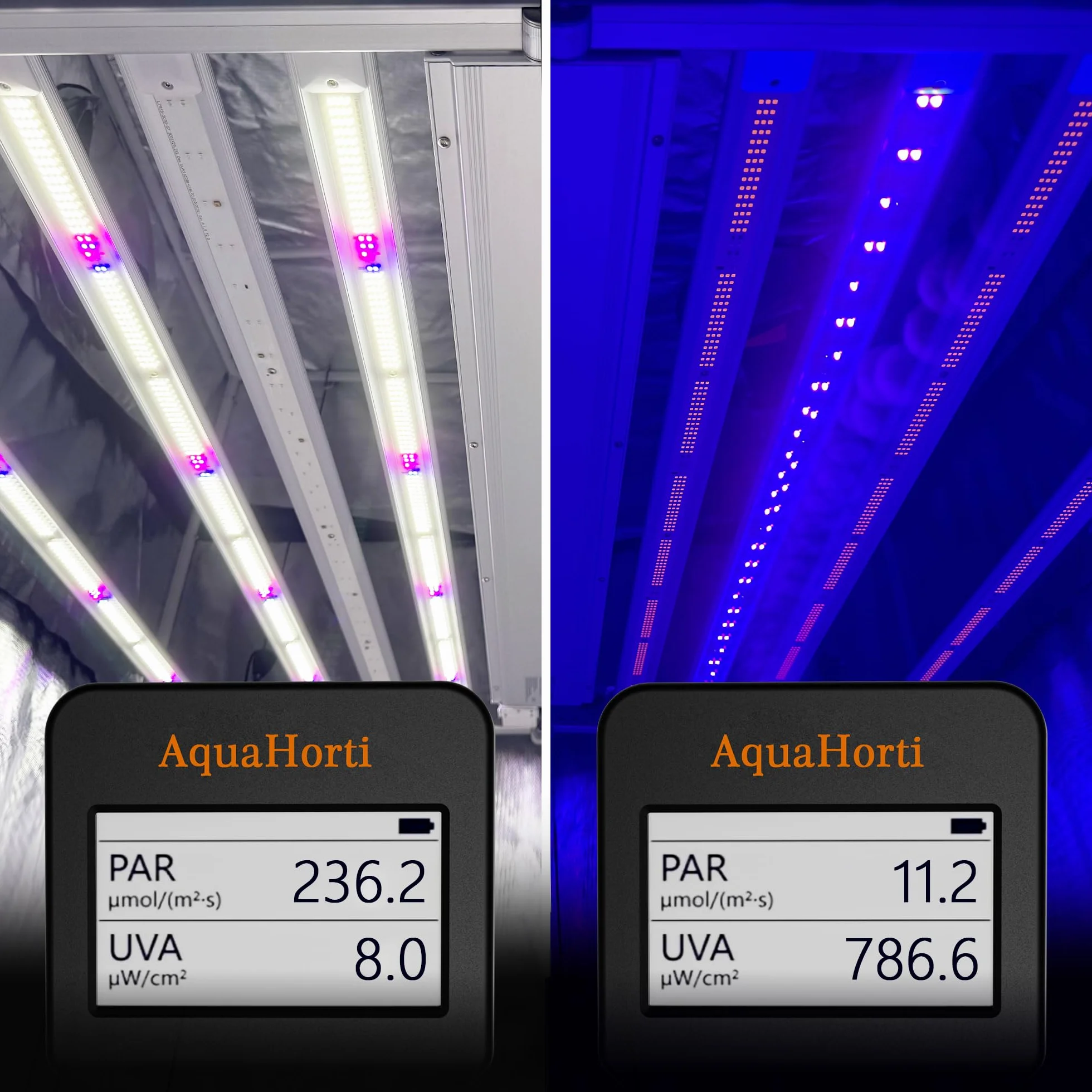 AH-PARUV Quantum PAR metro, 320-750nm. rosso | Blu luce separata PPFD, test UVA intensità di radiazione, 3 e 13ft cavo. Record storia PAR.