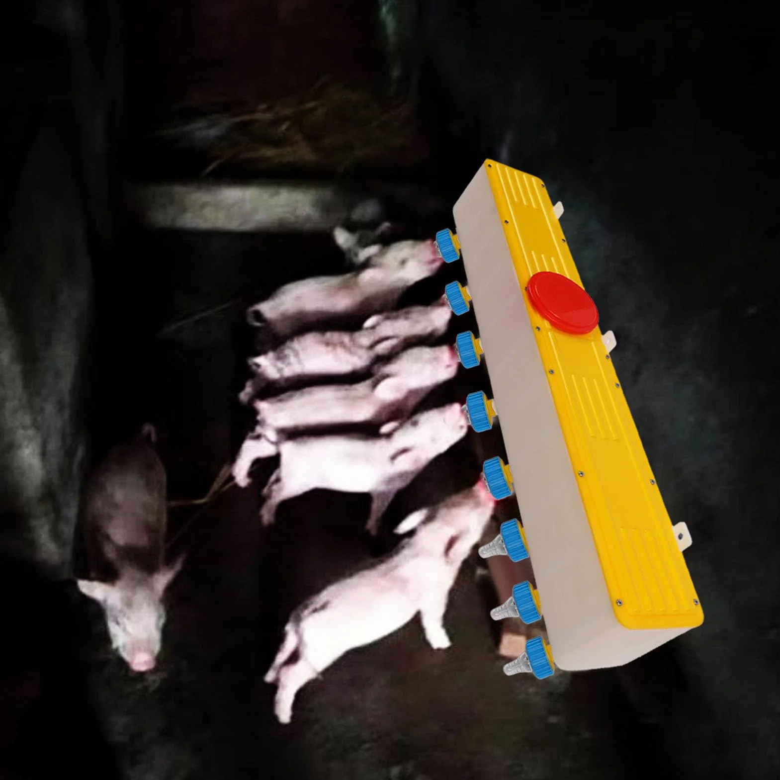 Mangiatoia per Bevande per Agnello in Silicone 10 Litri Montato a Parete con 8 Capezzoli