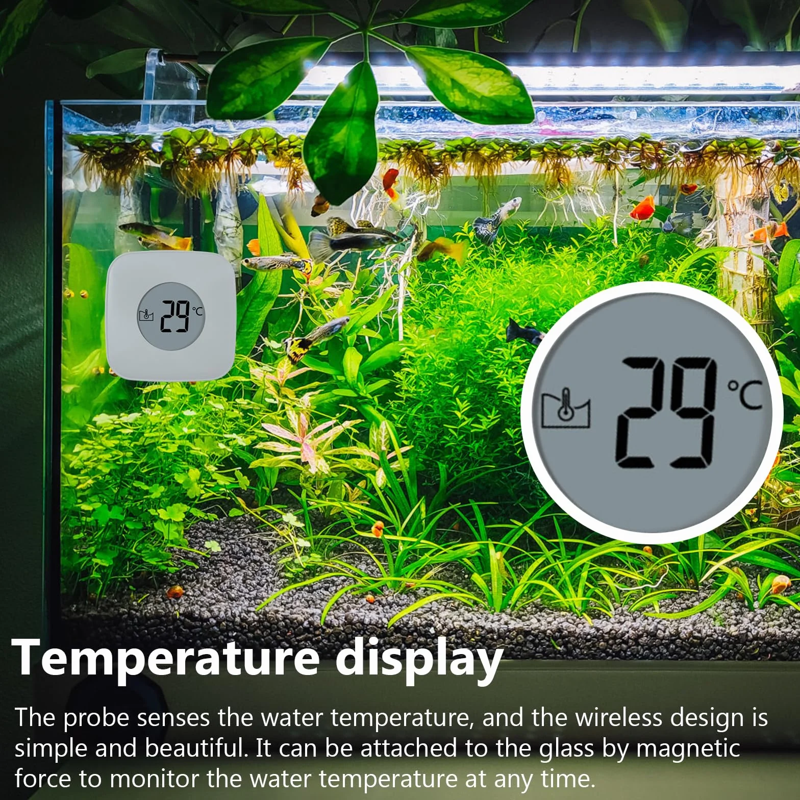 Spazzola magnetica per acquario, detergente vetri con indicatore temperatura, rimozione alghe piscina